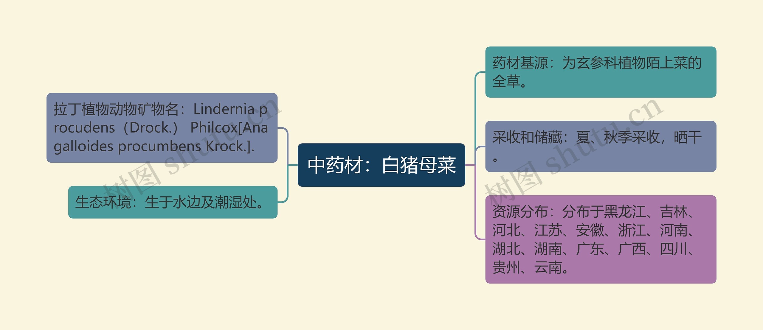 中药材：白猪母菜