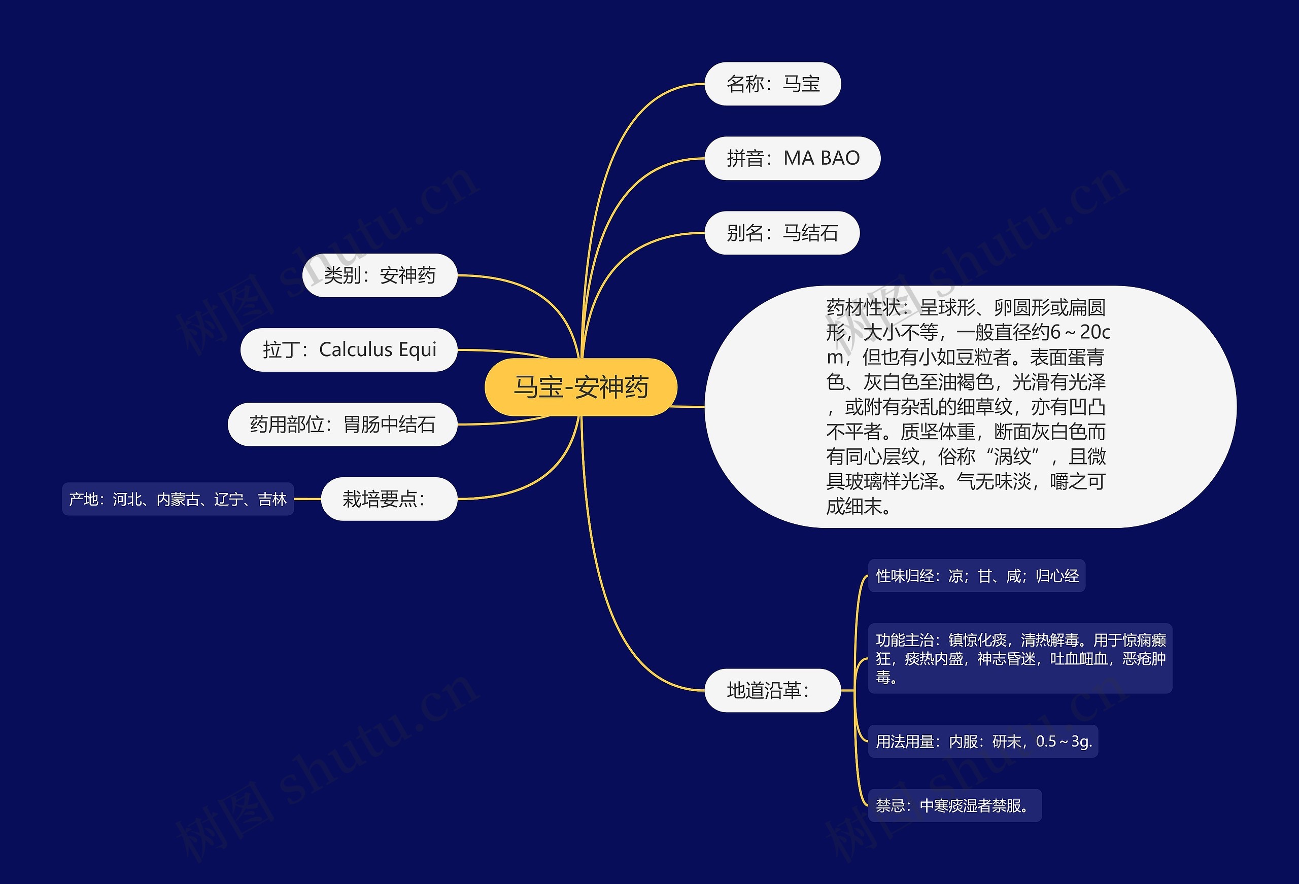 马宝-安神药思维导图