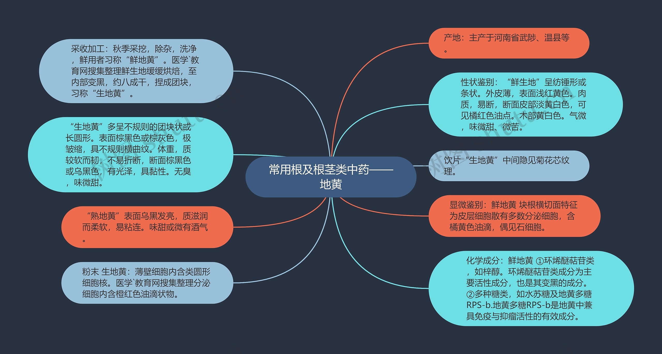 常用根及根茎类中药——地黄