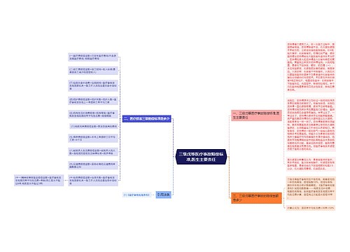 三级戊等医疗事故赔偿标准,医生主要责任