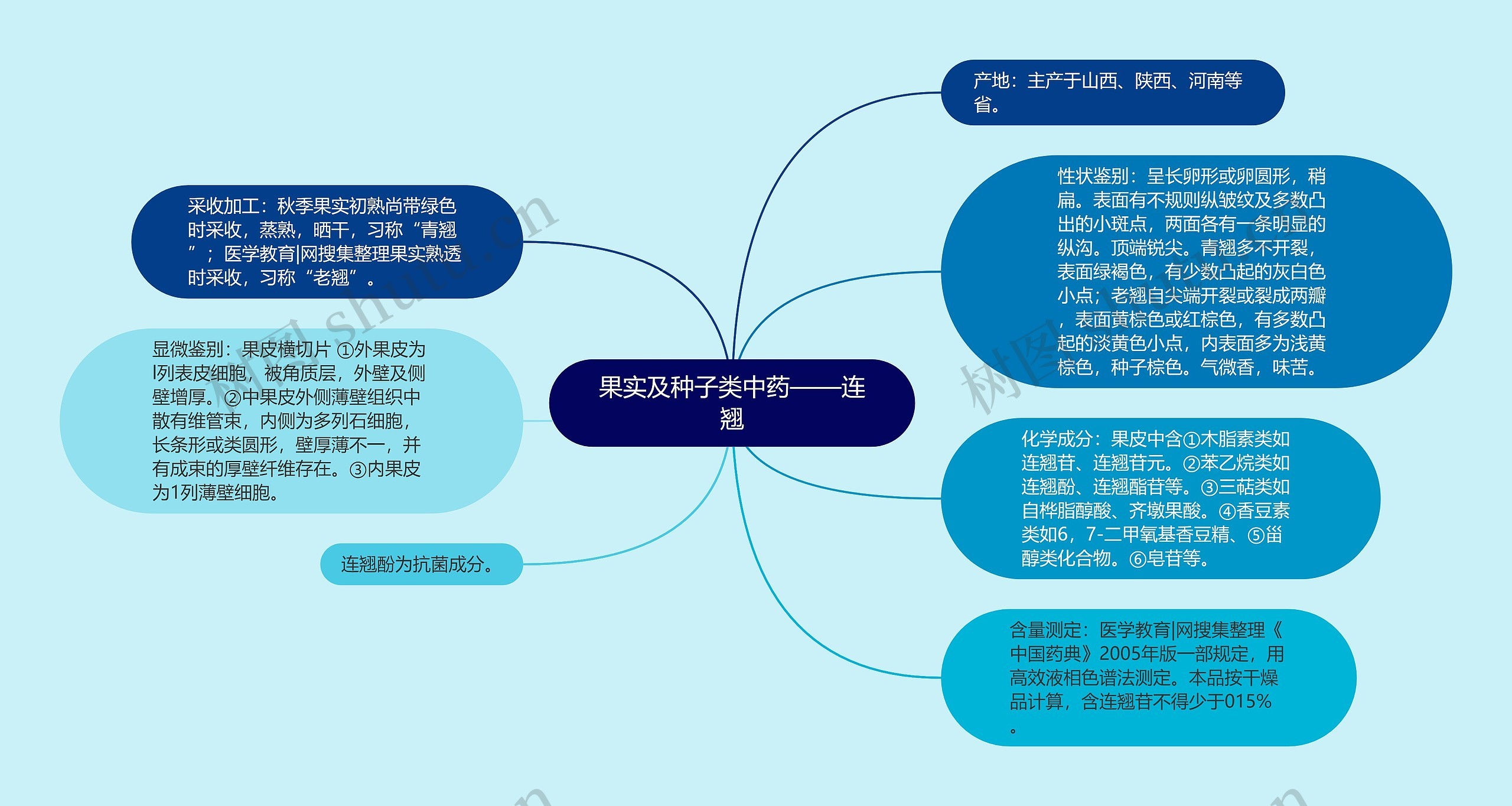 果实及种子类中药——连翘思维导图