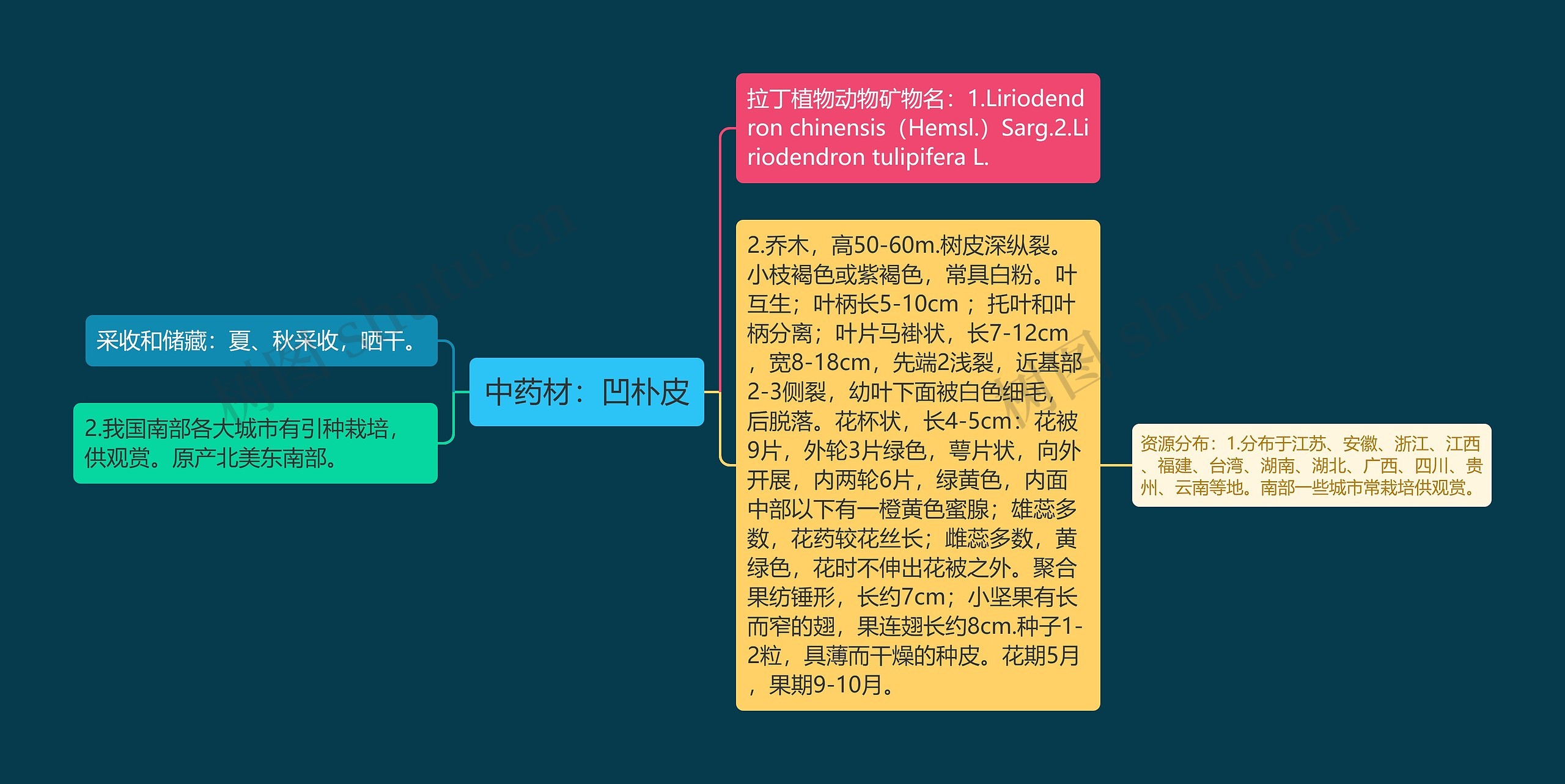 中药材：凹朴皮思维导图