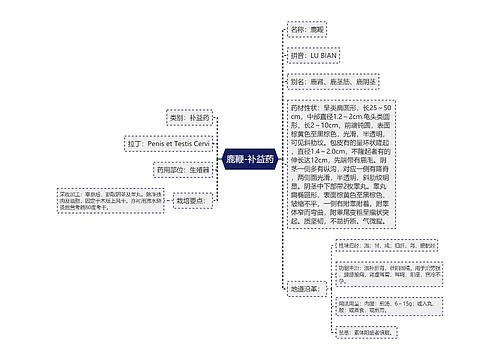 鹿鞭-补益药