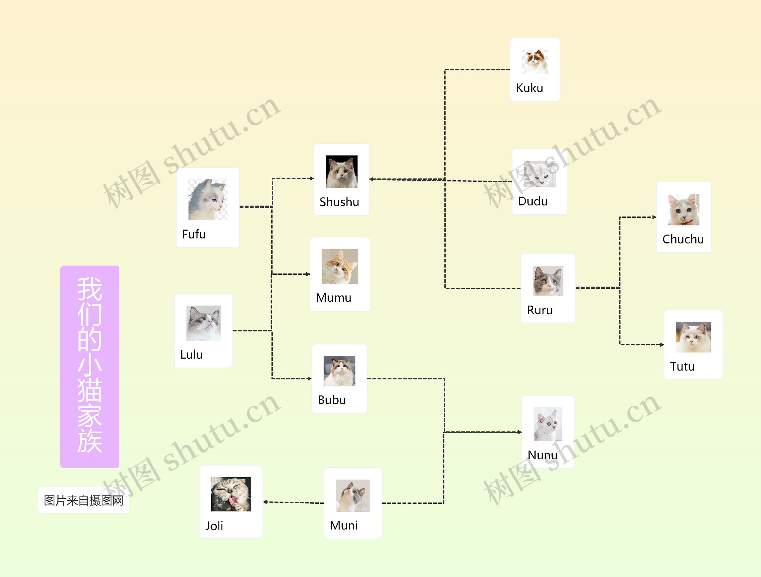 我们的小猫家族思维导图