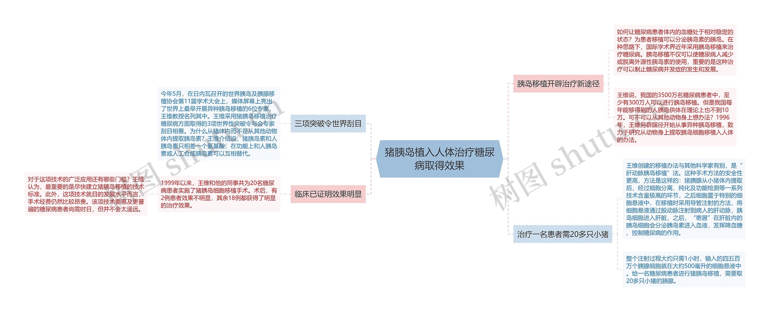 猪胰岛植入人体治疗糖尿病取得效果思维导图