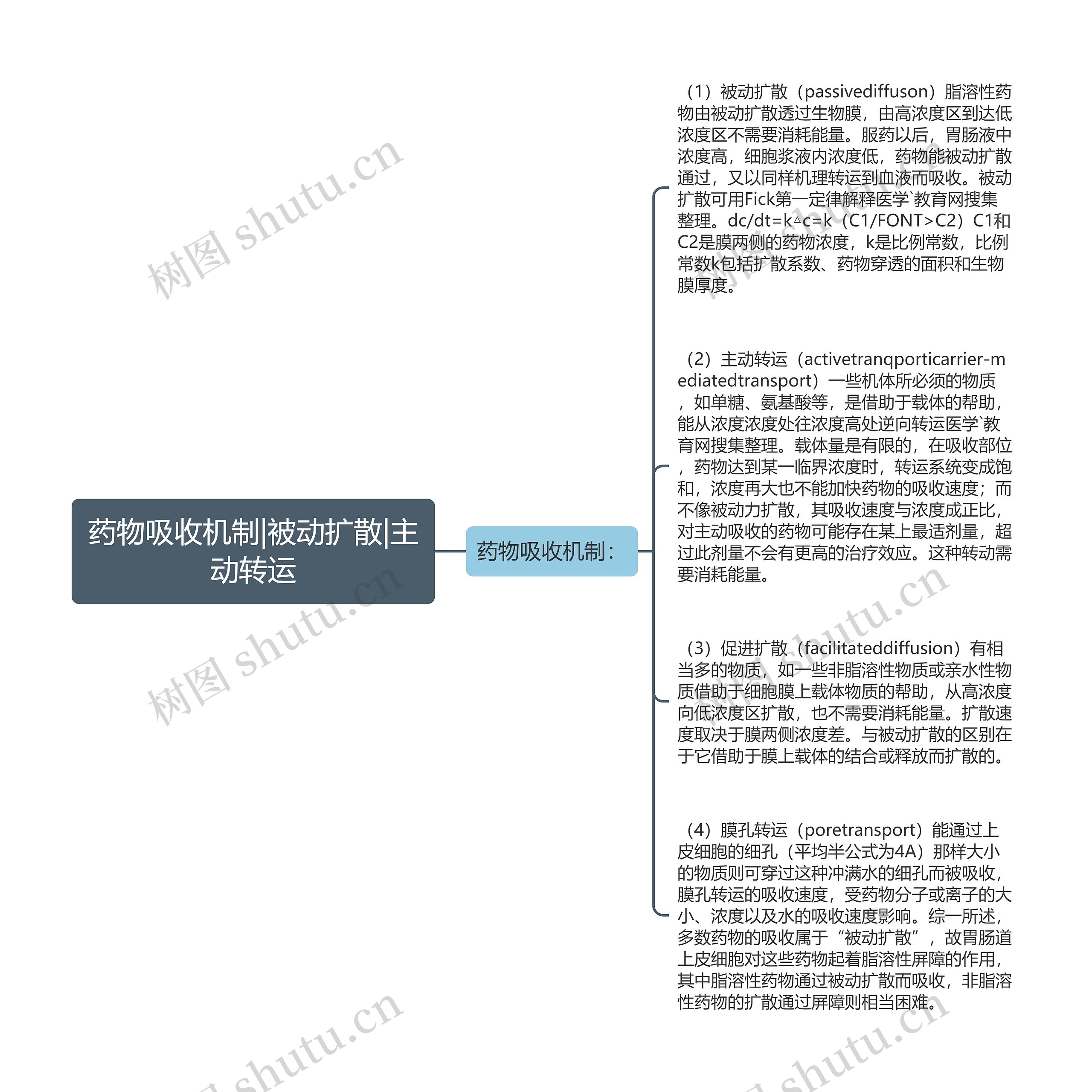 药物吸收机制|被动扩散|主动转运