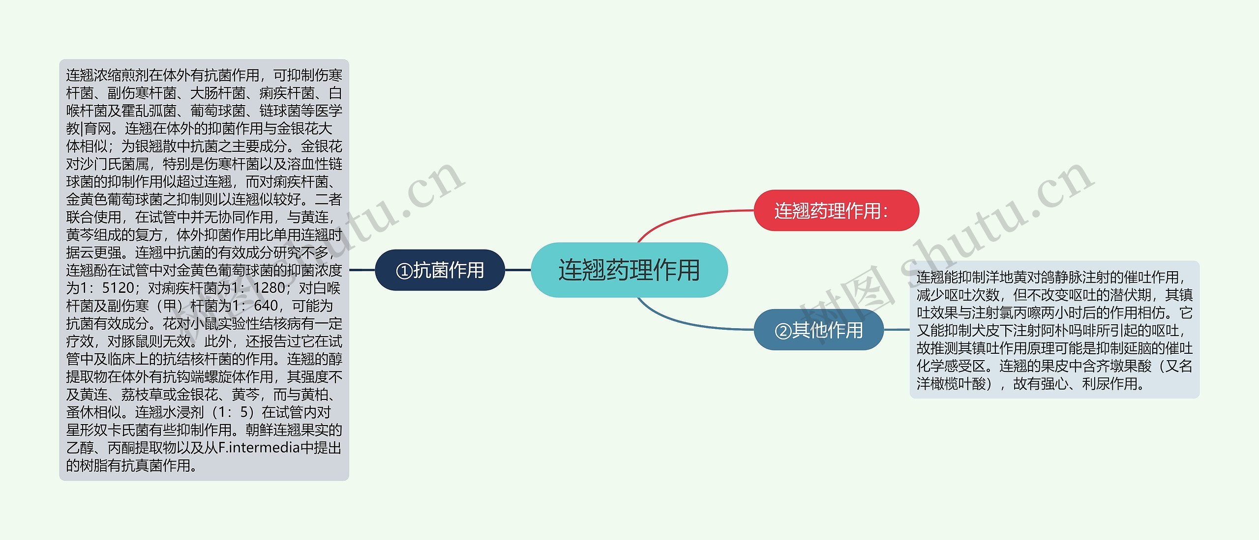 连翘药理作用思维导图