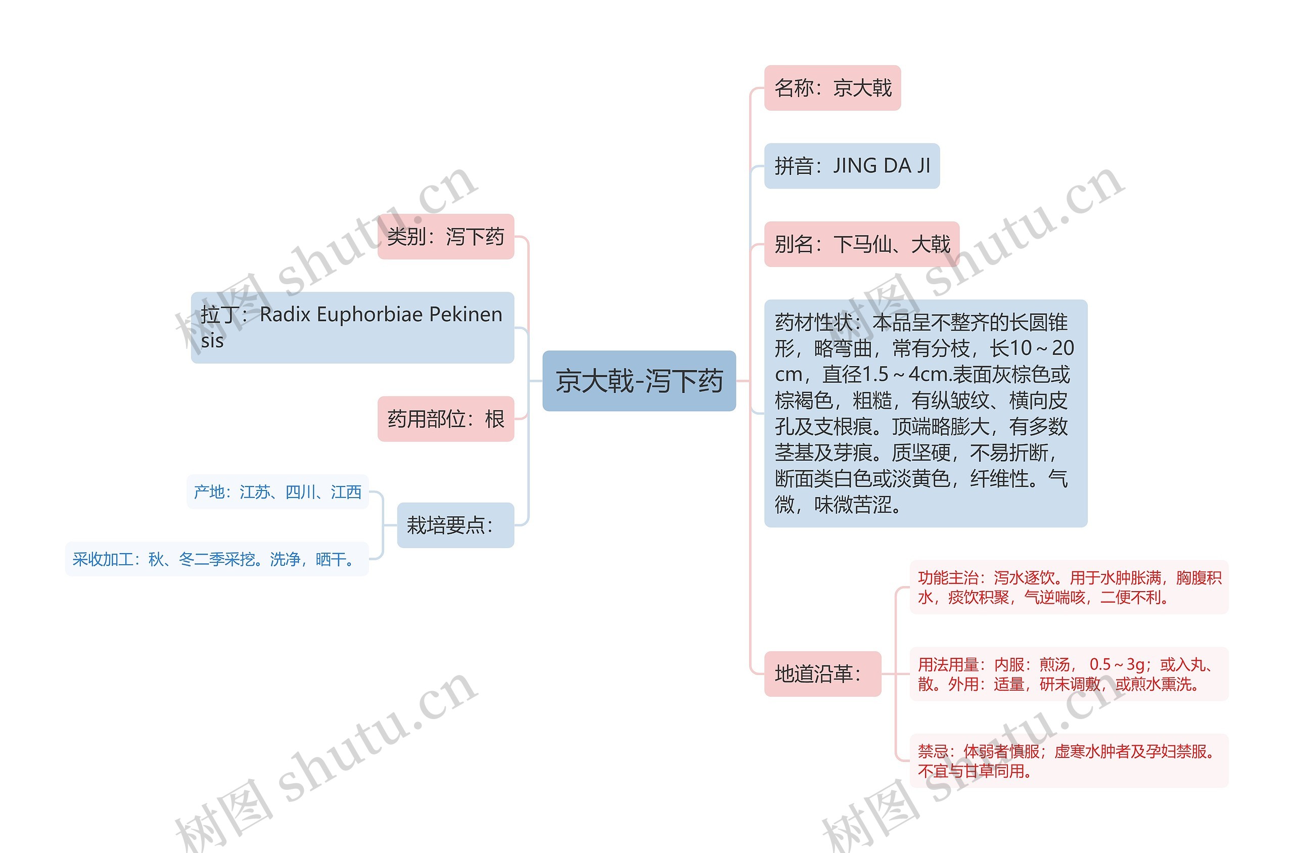 京大戟-泻下药思维导图