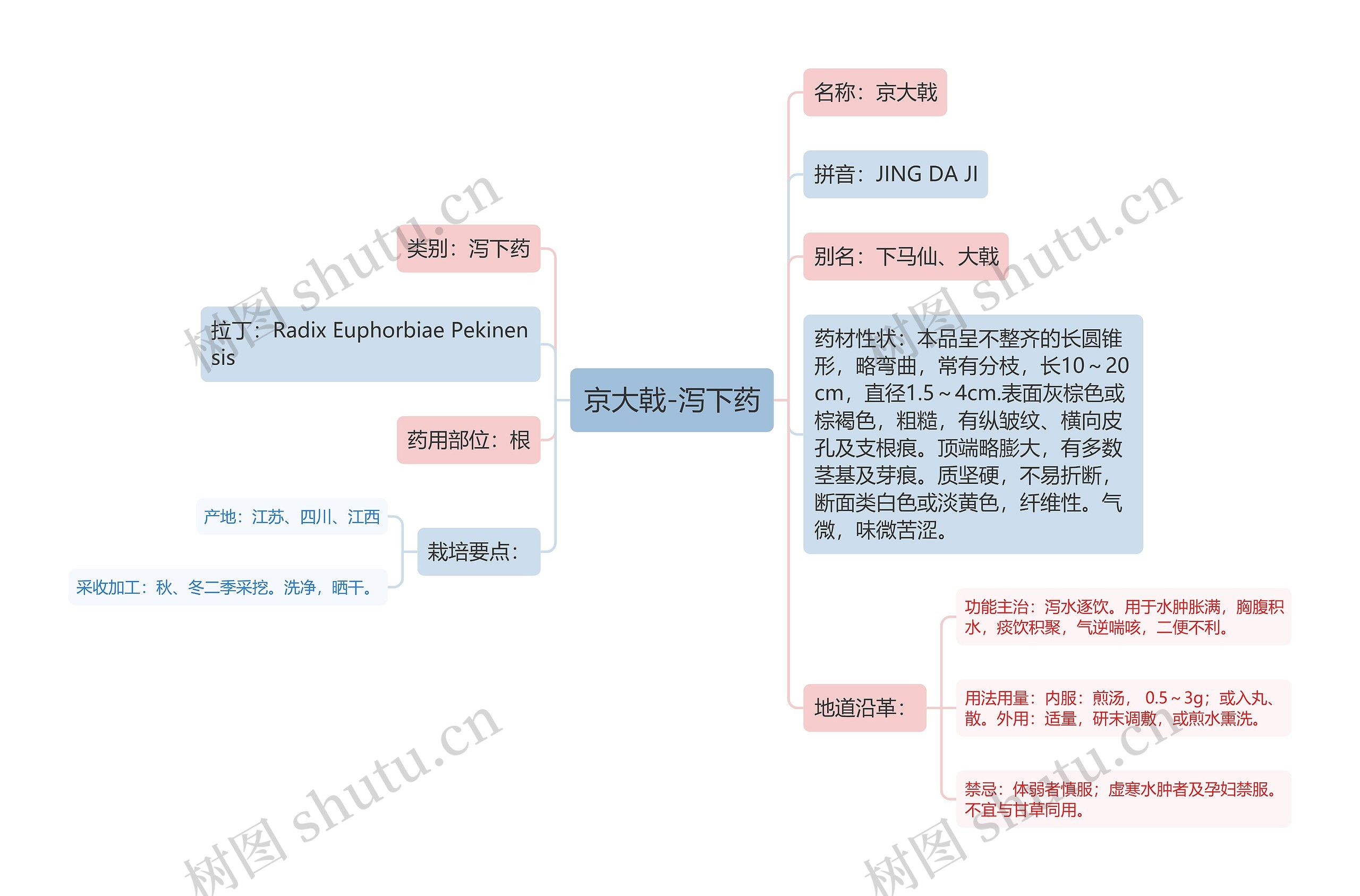 京大戟-泻下药 京大戟-泻下药