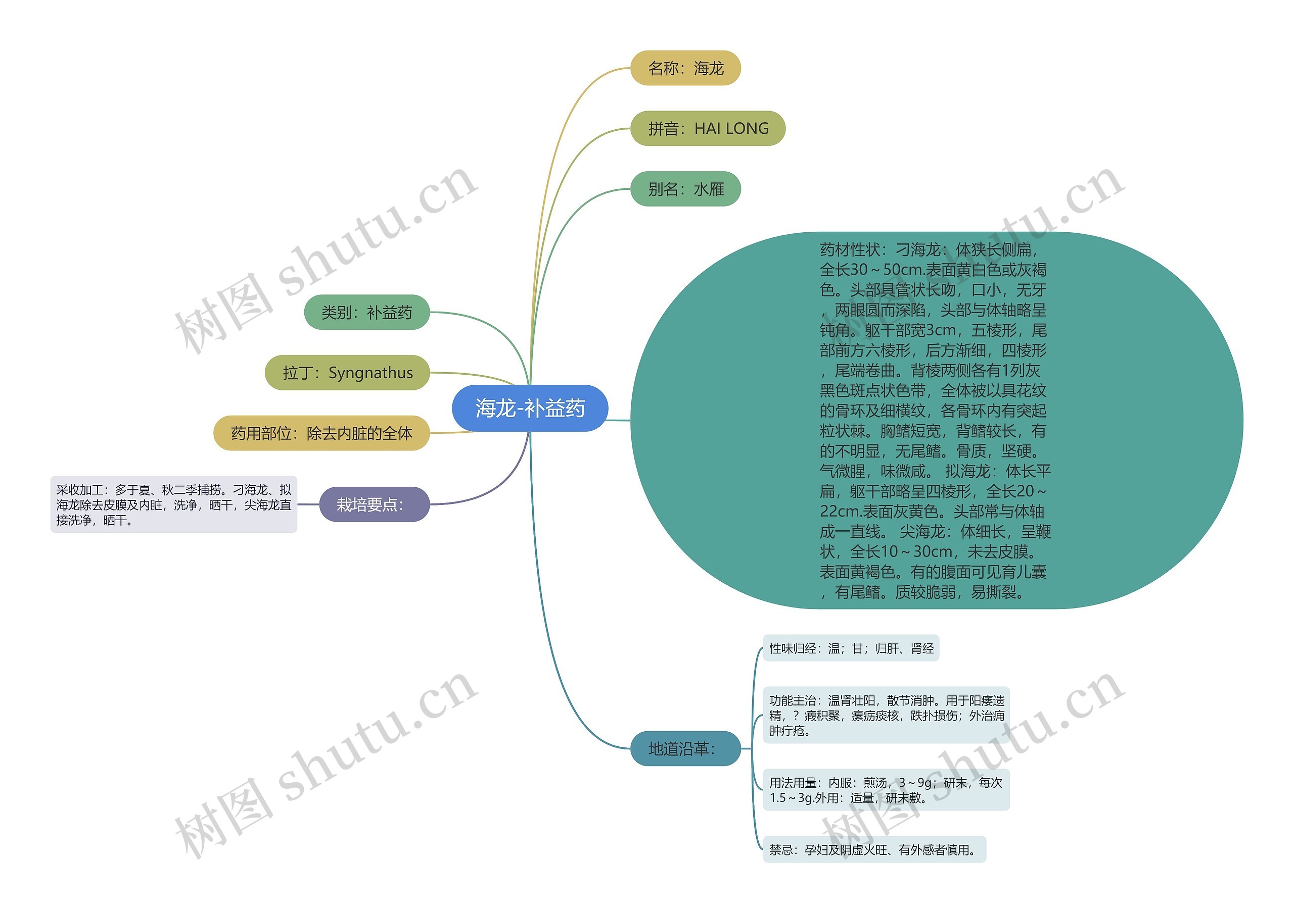 海龙-补益药思维导图