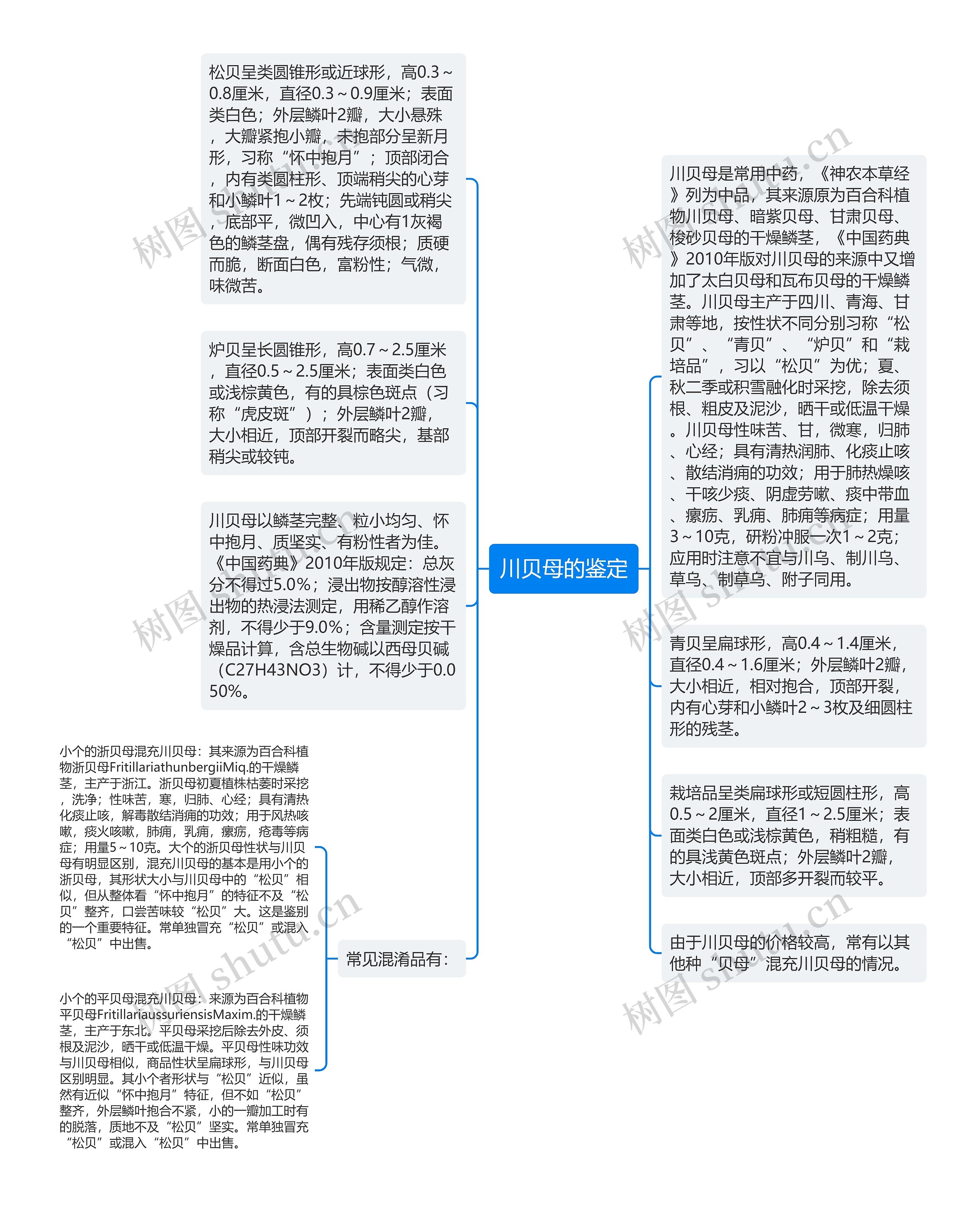 川贝母的鉴定思维导图