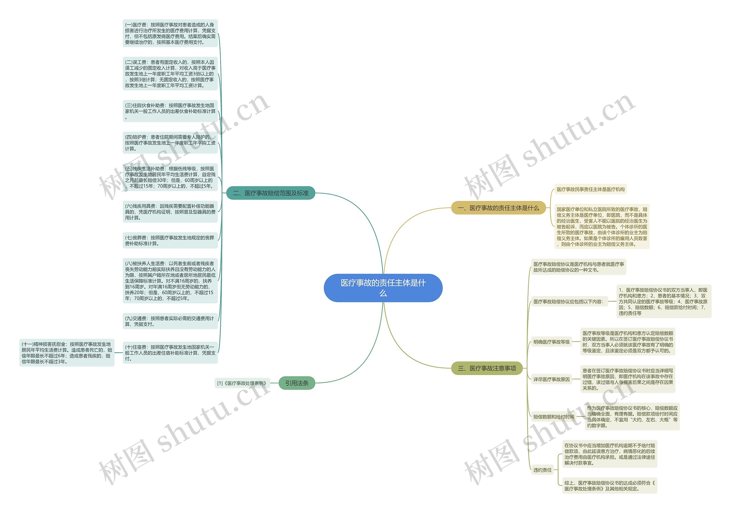 医疗事故的责任主体是什么思维导图