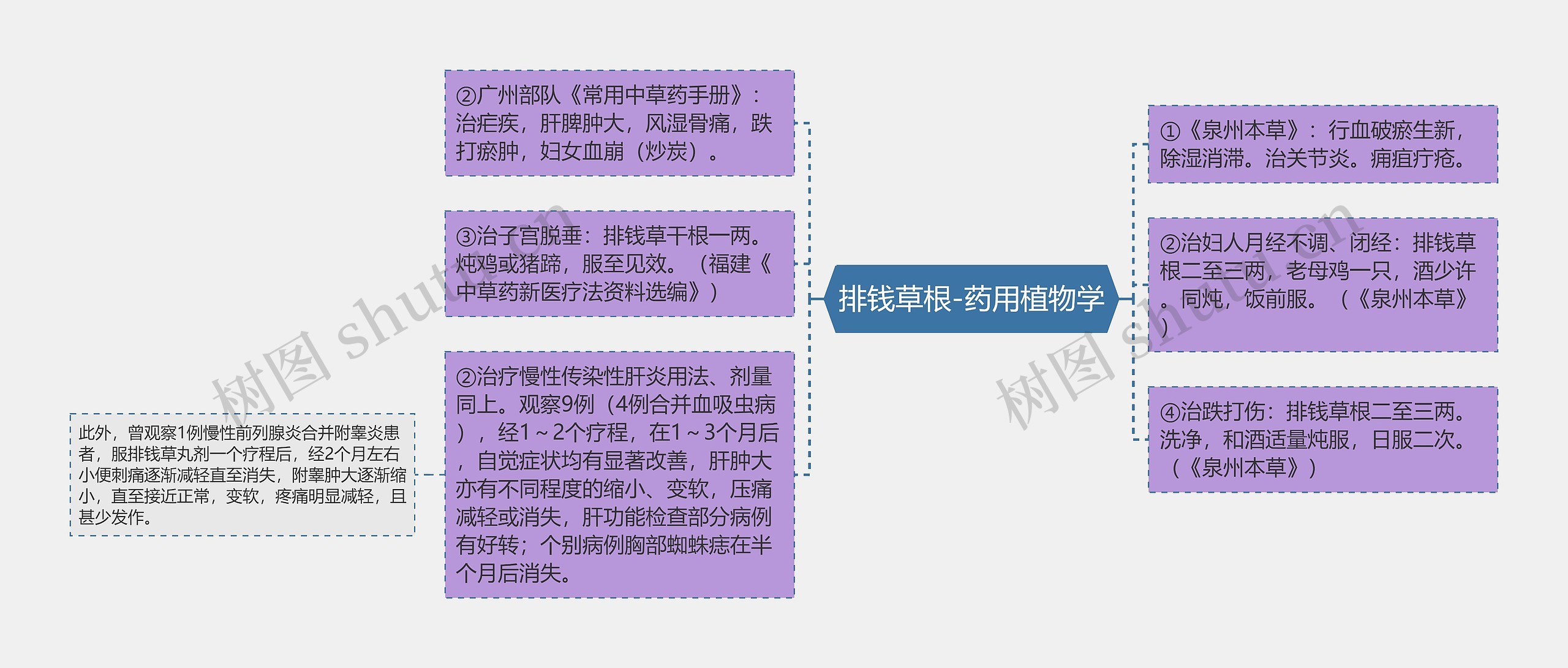 排钱草根-药用植物学思维导图