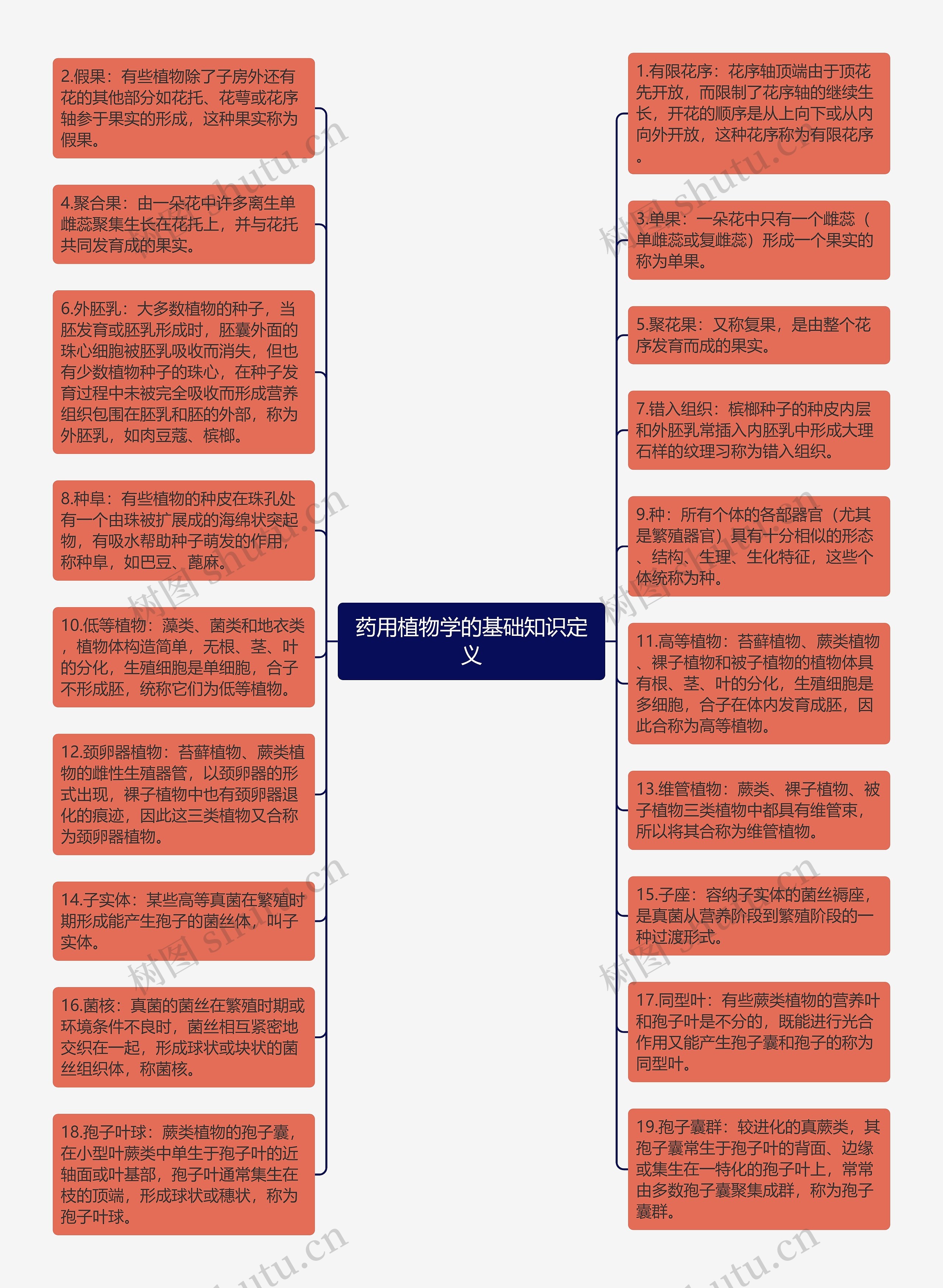 药用植物学的基础知识定义思维导图