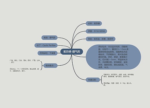 紫苏梗-理气药