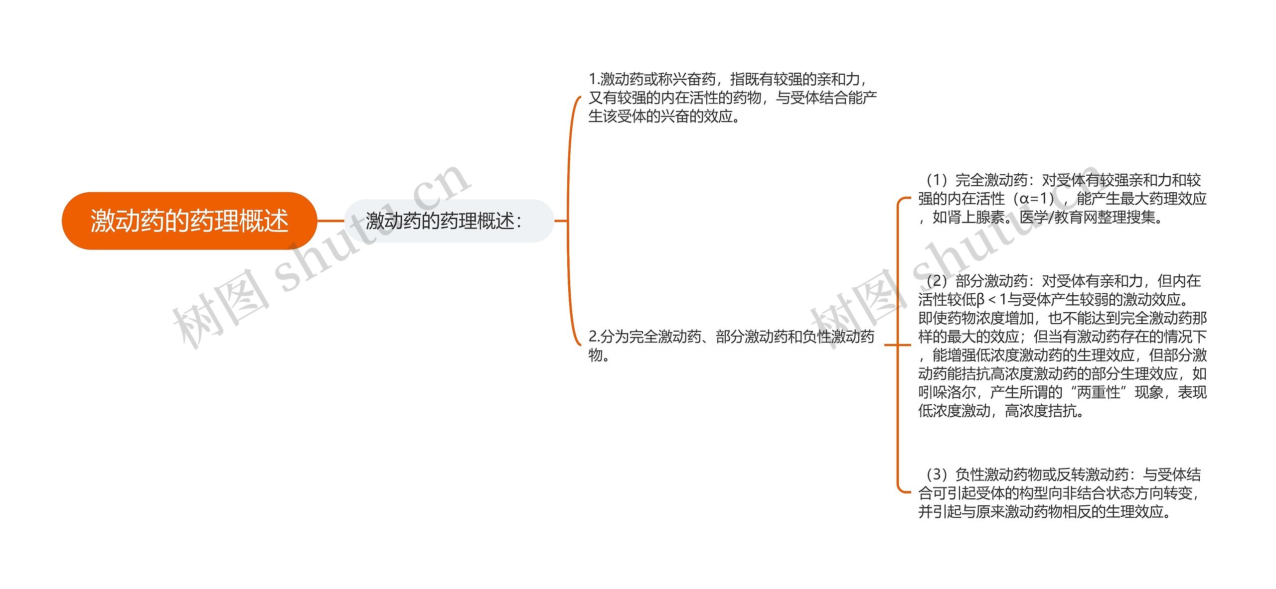 激动药的药理概述思维导图