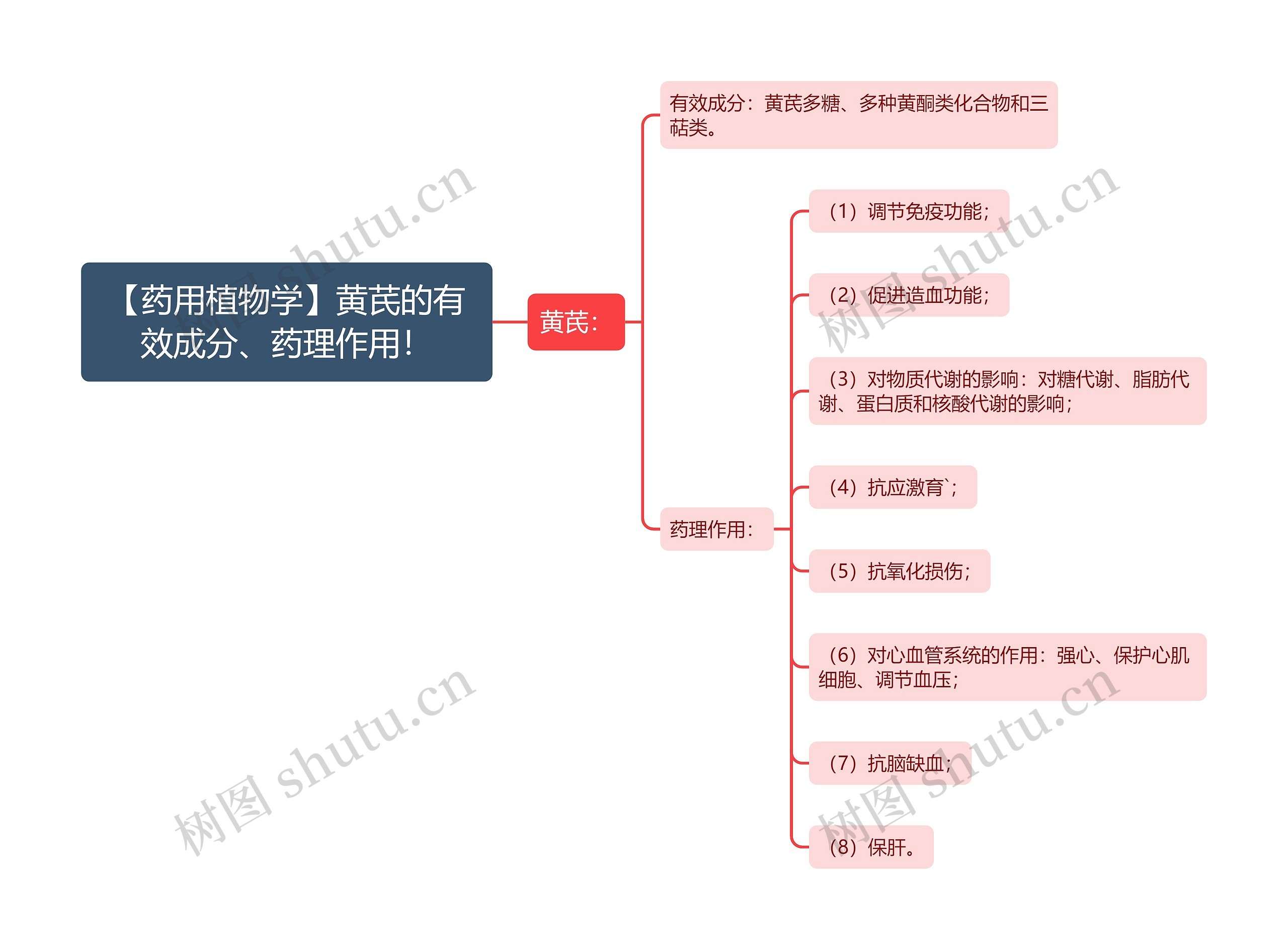 【药用植物学】黄芪的有效成分、药理作用！思维导图