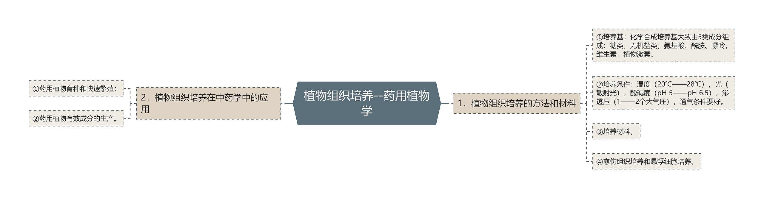 植物组织培养--药用植物学 植物组织培养--药用植物学