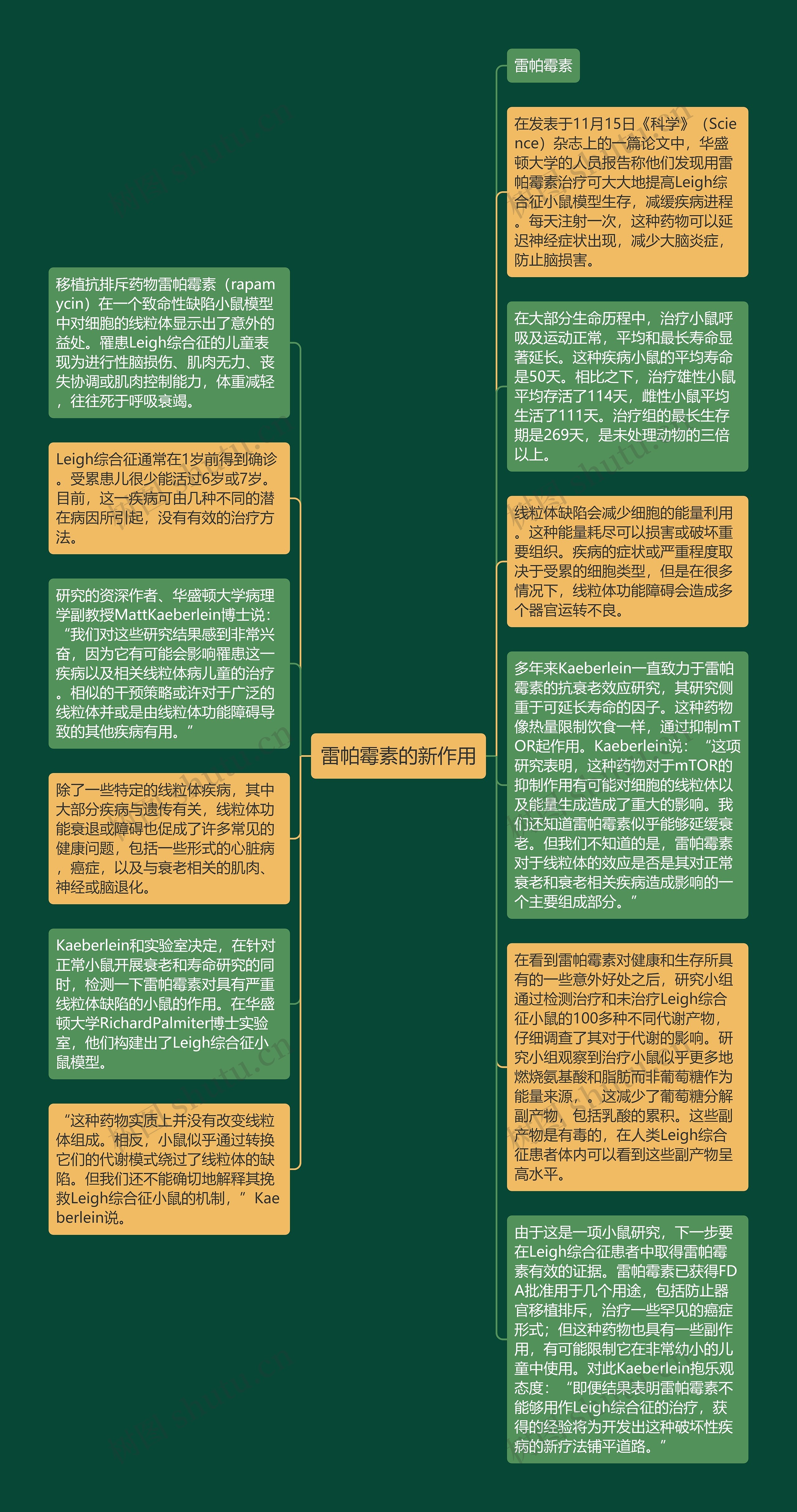 雷帕霉素的新作用思维导图