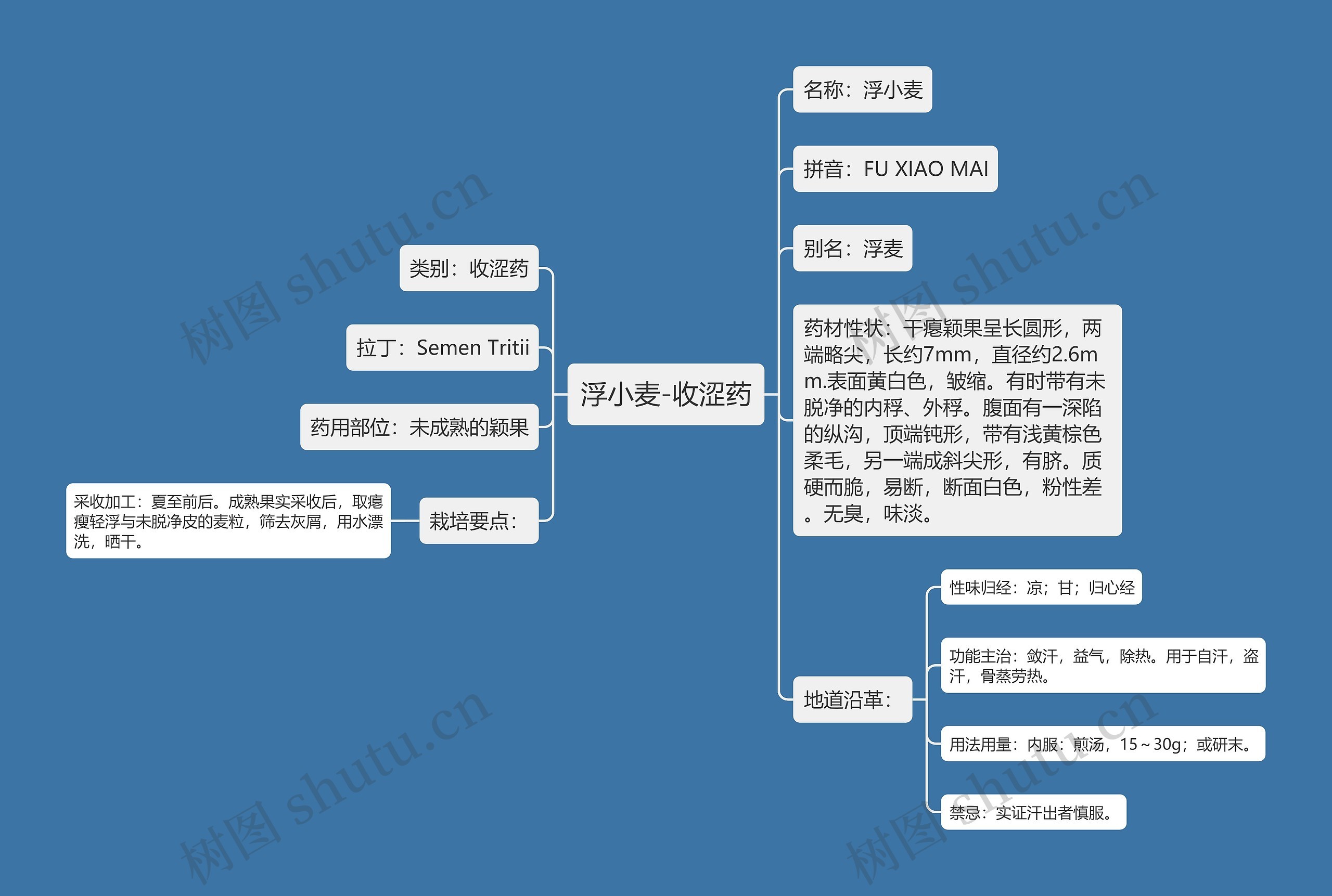 浮小麦-收涩药思维导图