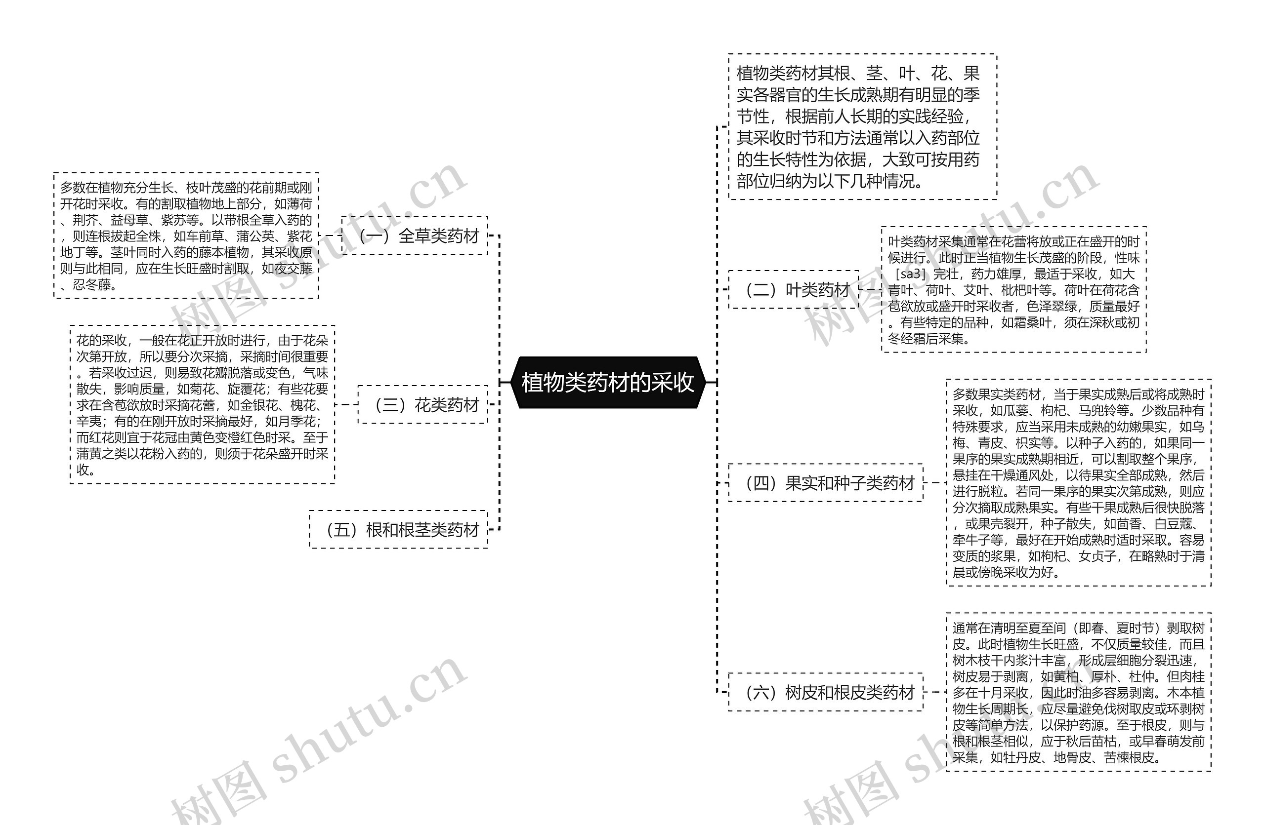 植物类药材的采收思维导图