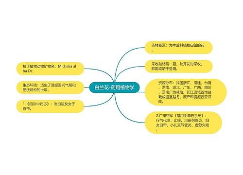 白兰花-药用植物学
