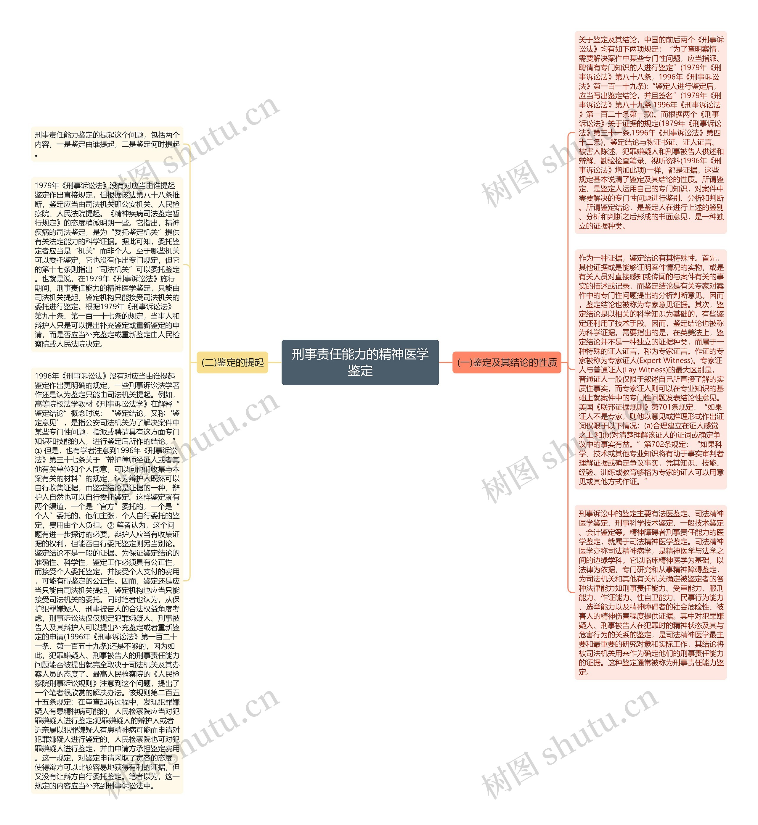 刑事责任能力的精神医学鉴定思维导图