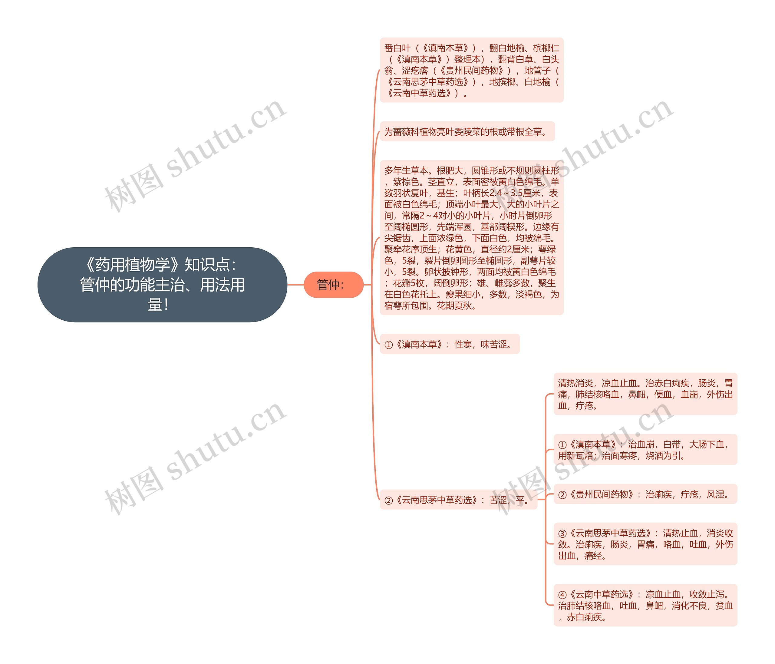 《药用植物学》知识点：管仲的功能主治、用法用量！思维导图