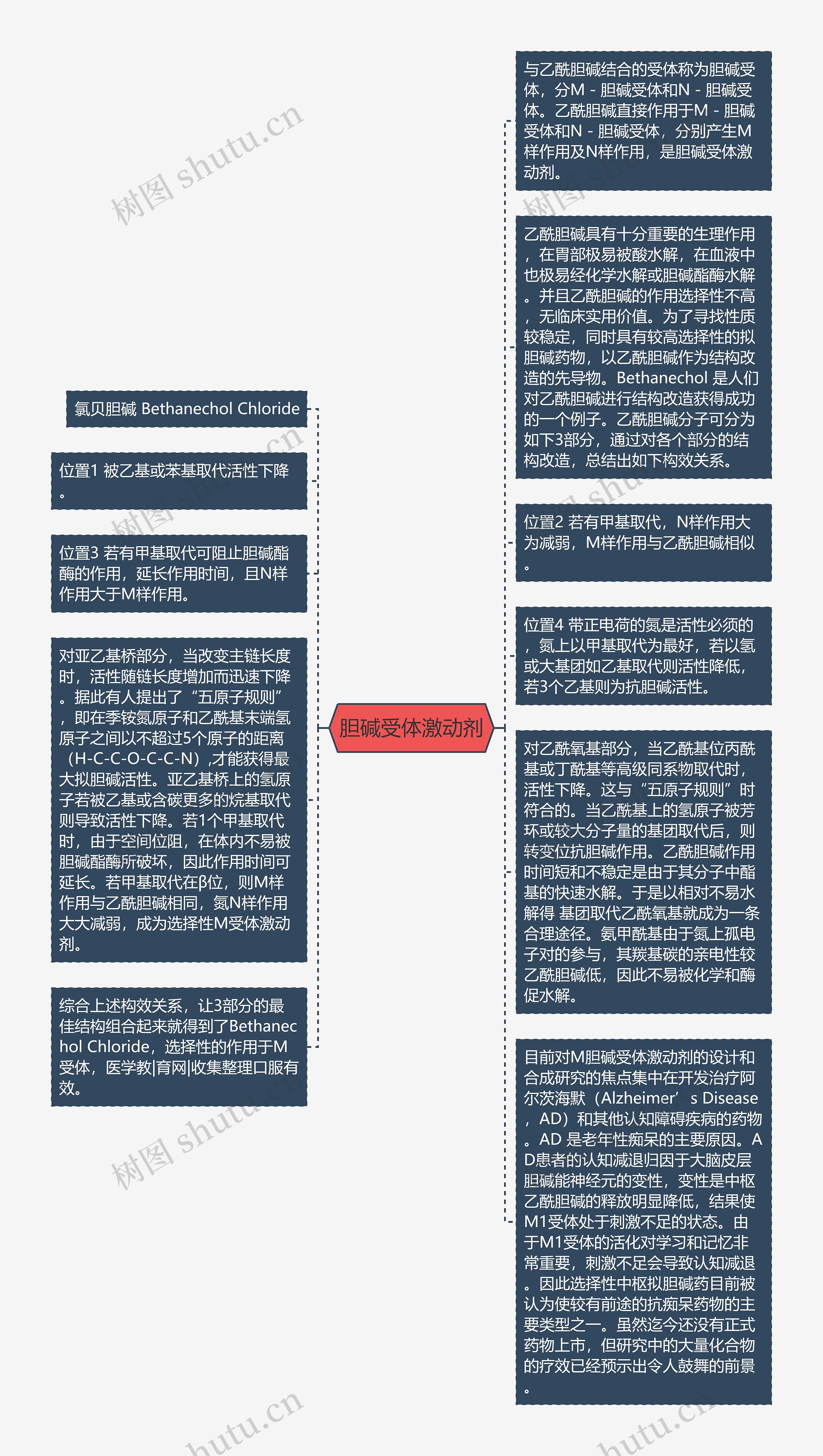 胆碱受体激动剂思维导图