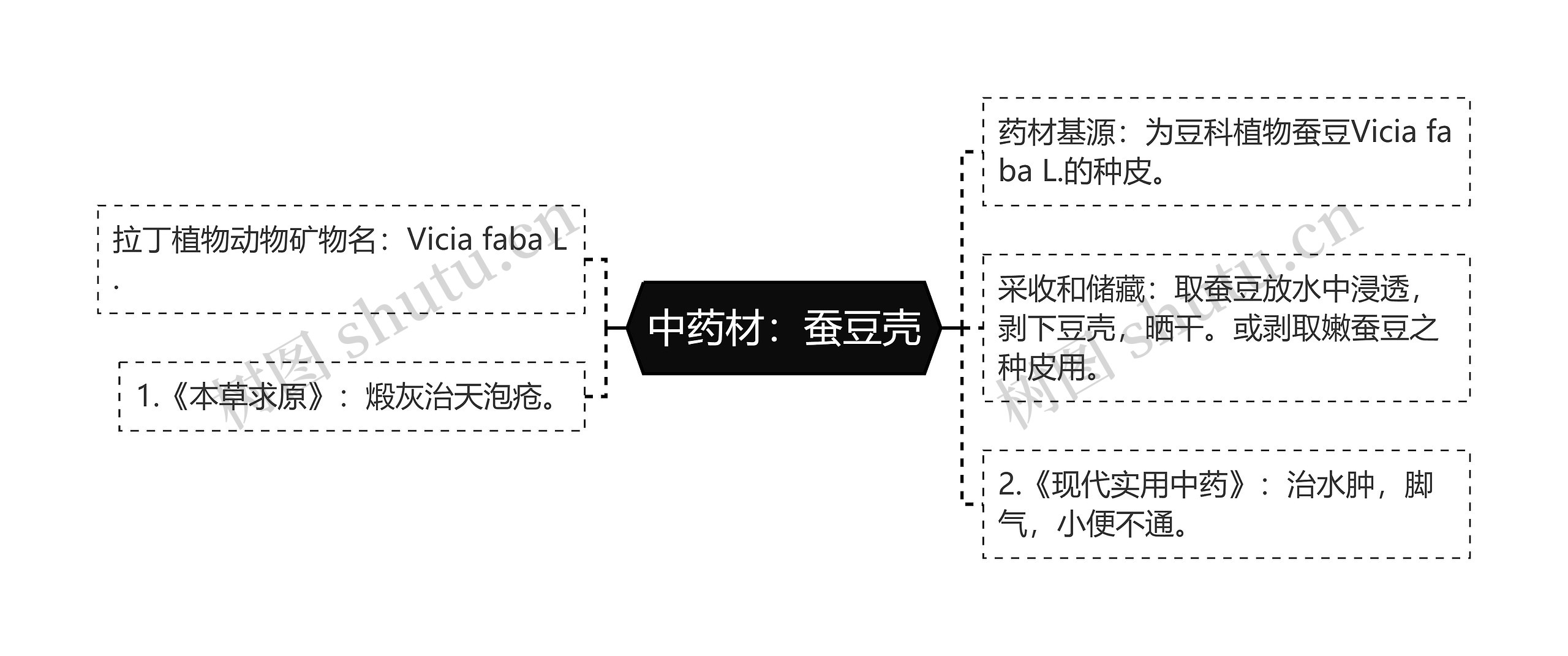 中药材：蚕豆壳思维导图