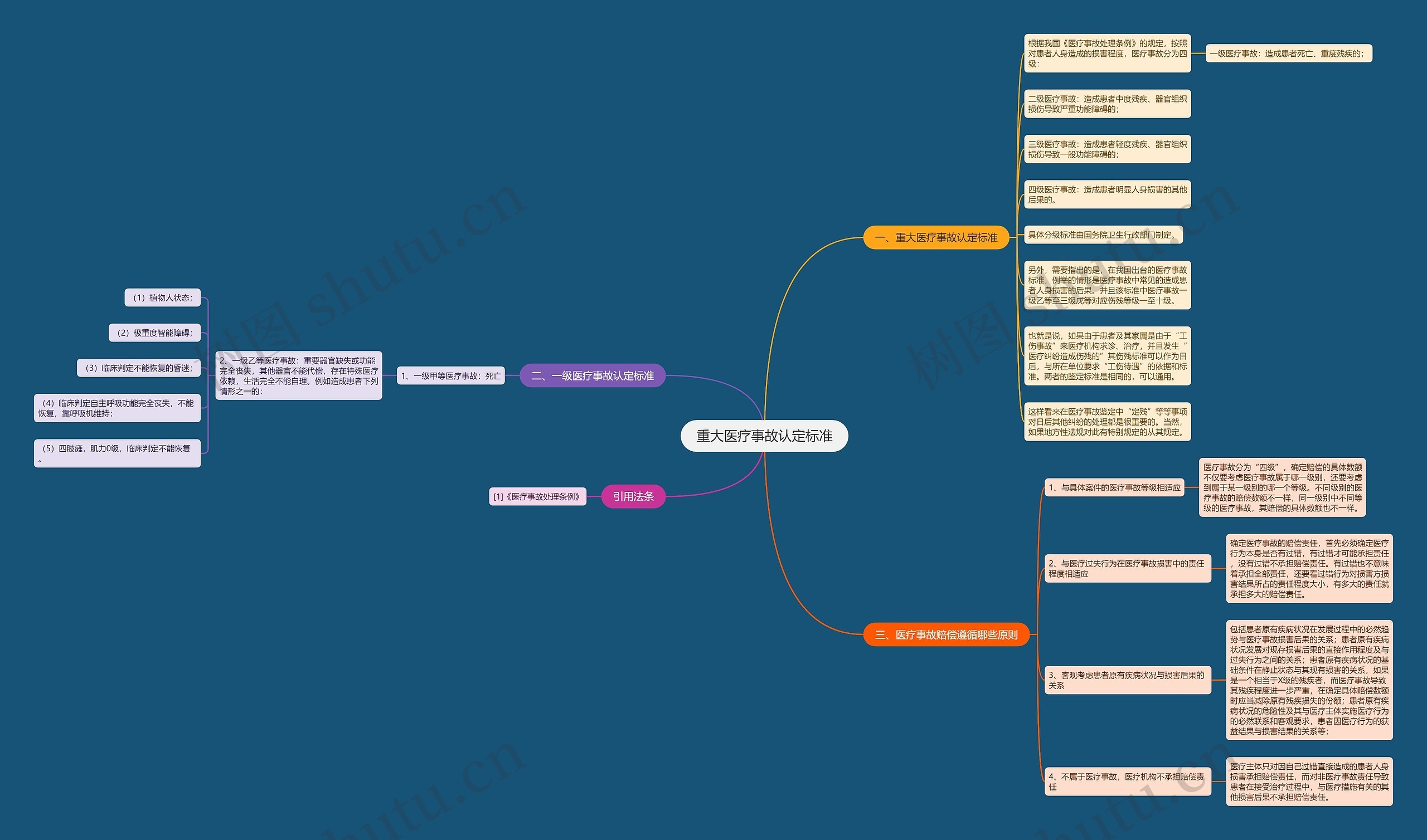 重大医疗事故认定标准思维导图