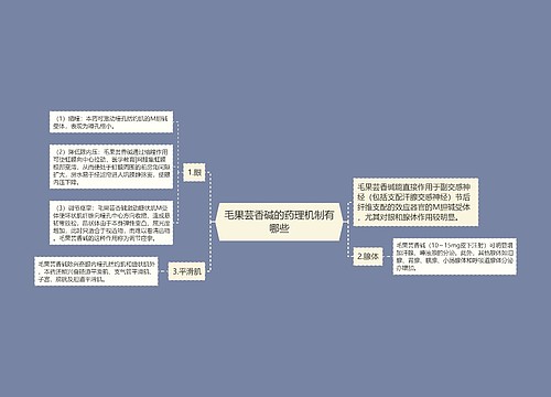 毛果芸香碱的药理机制有哪些