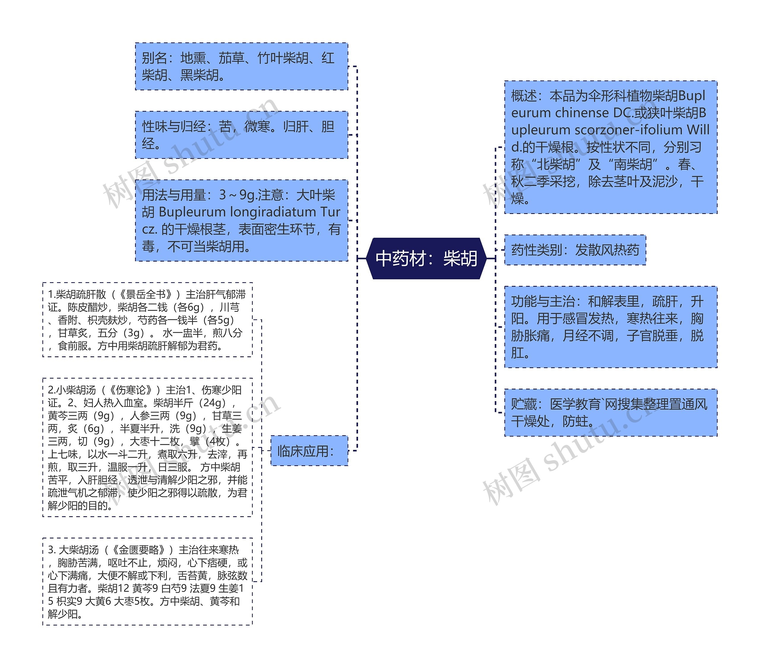 中药材：柴胡思维导图