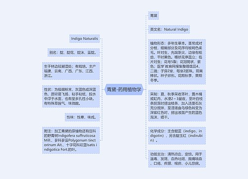 青黛-药用植物学