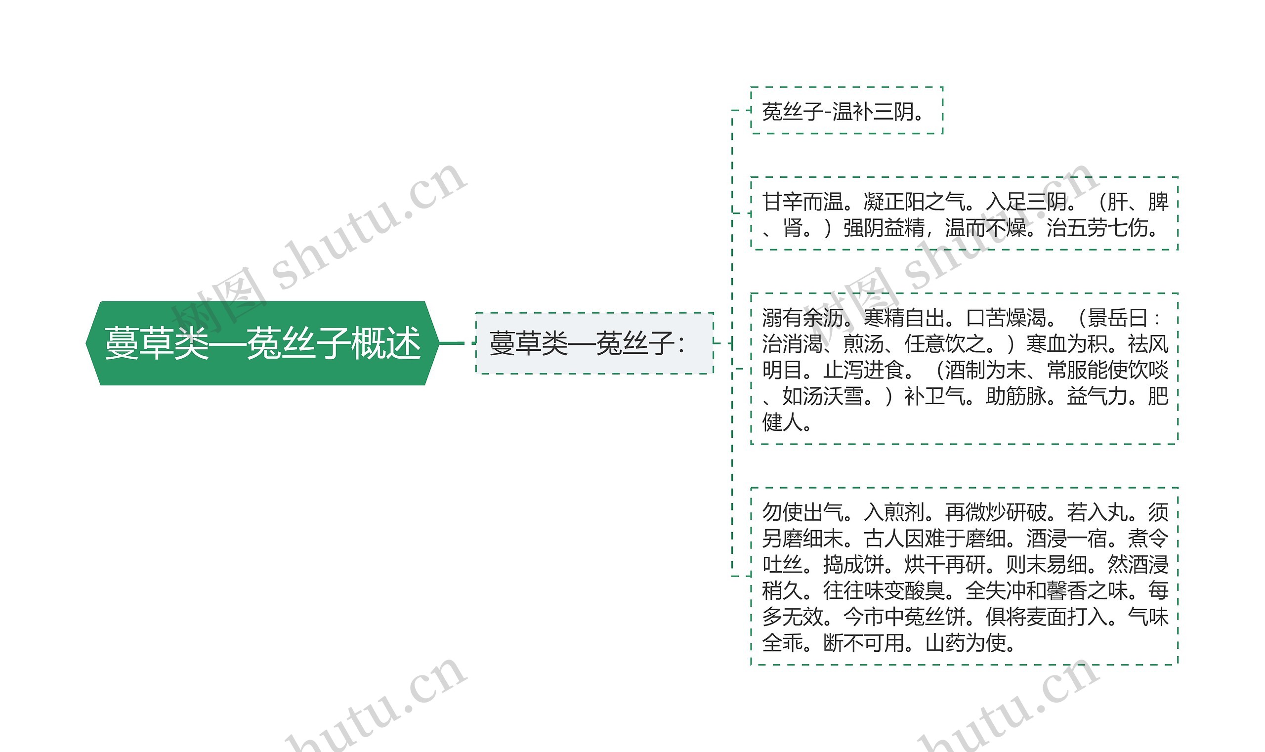 蔓草类—菟丝子概述思维导图