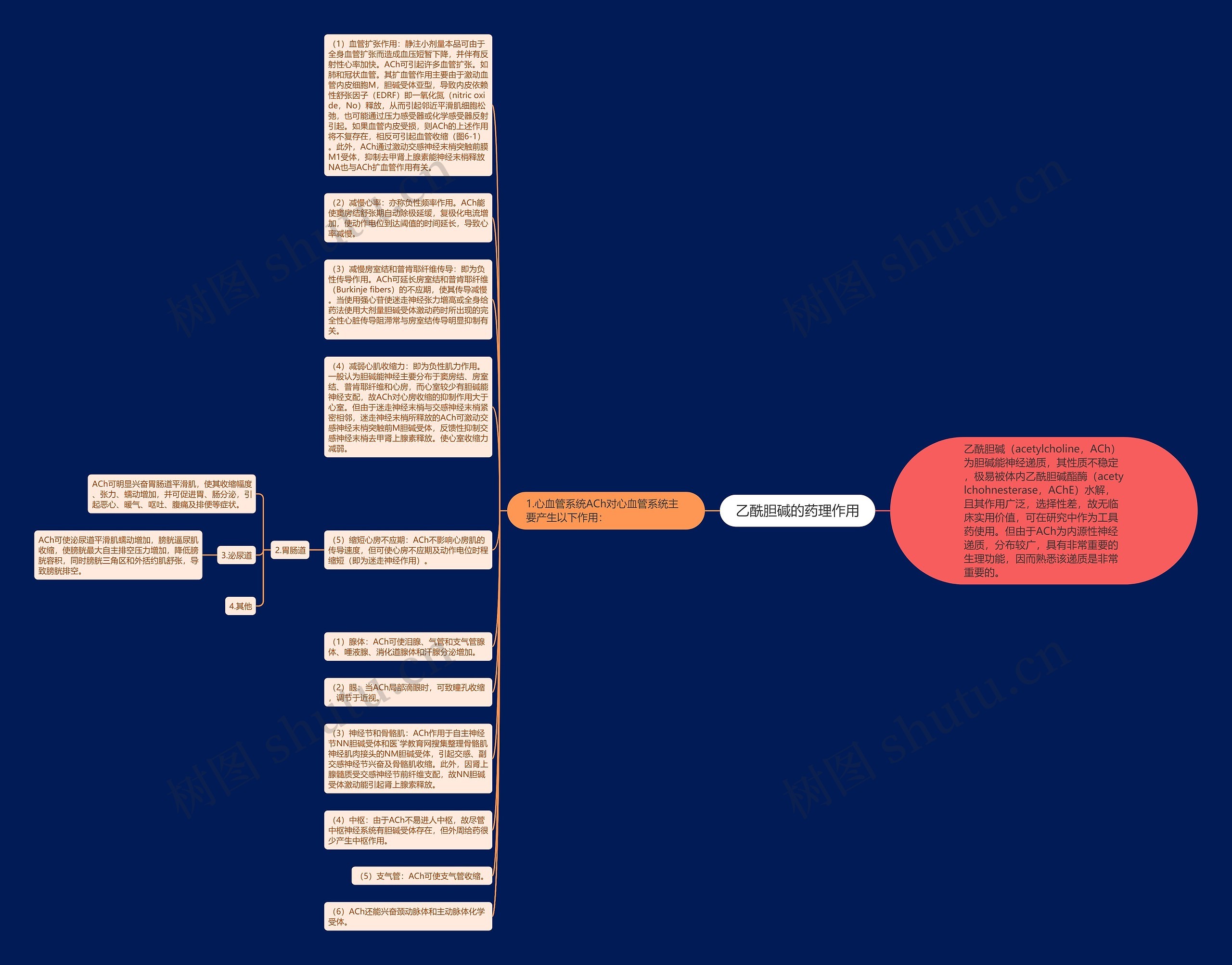 乙酰胆碱的药理作用思维导图