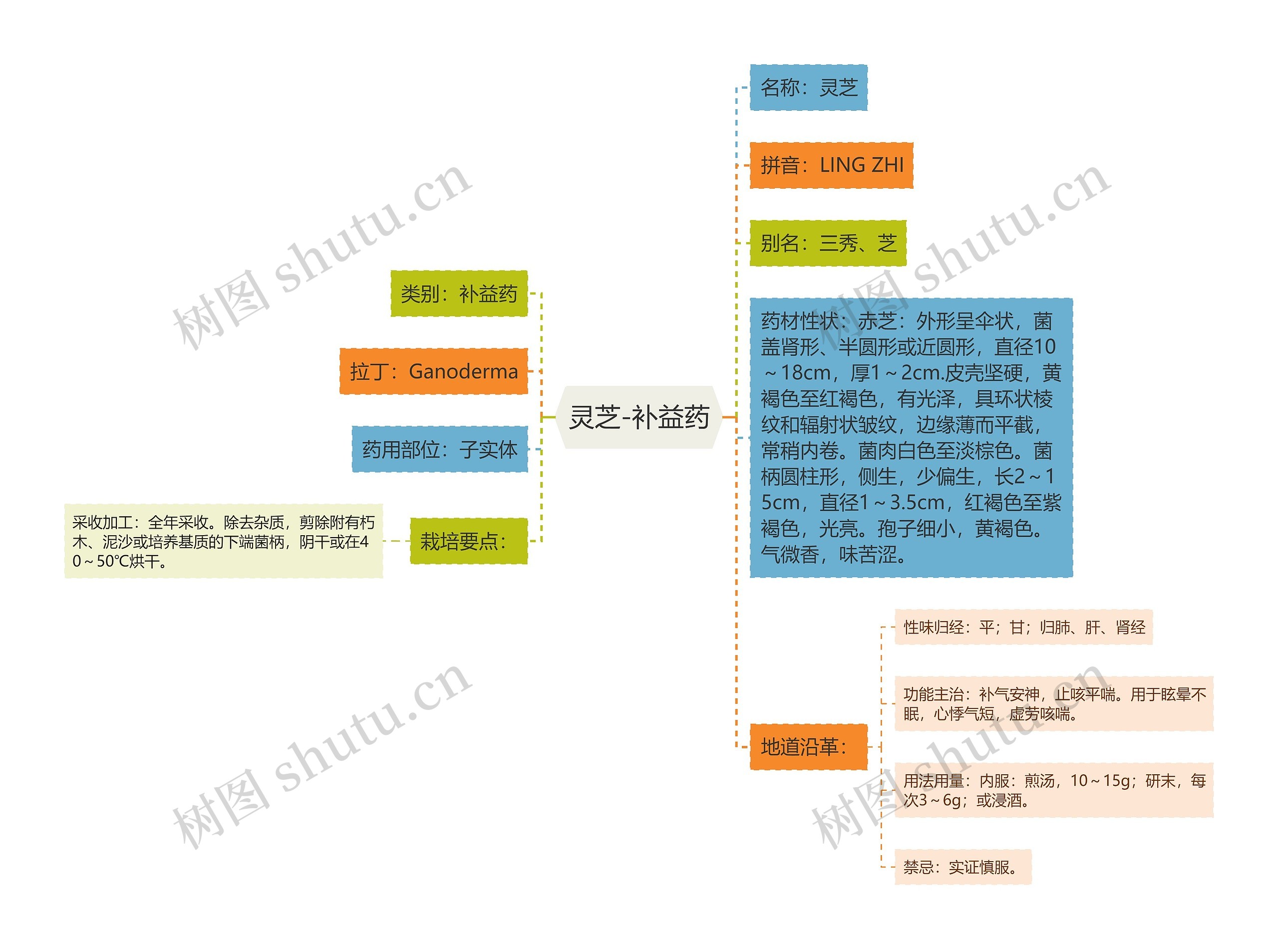 灵芝-补益药思维导图