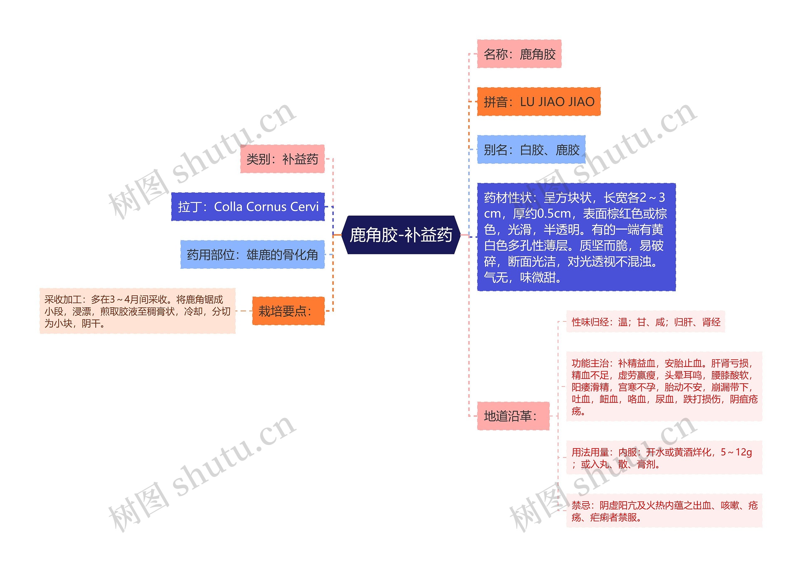 鹿角胶-补益药思维导图