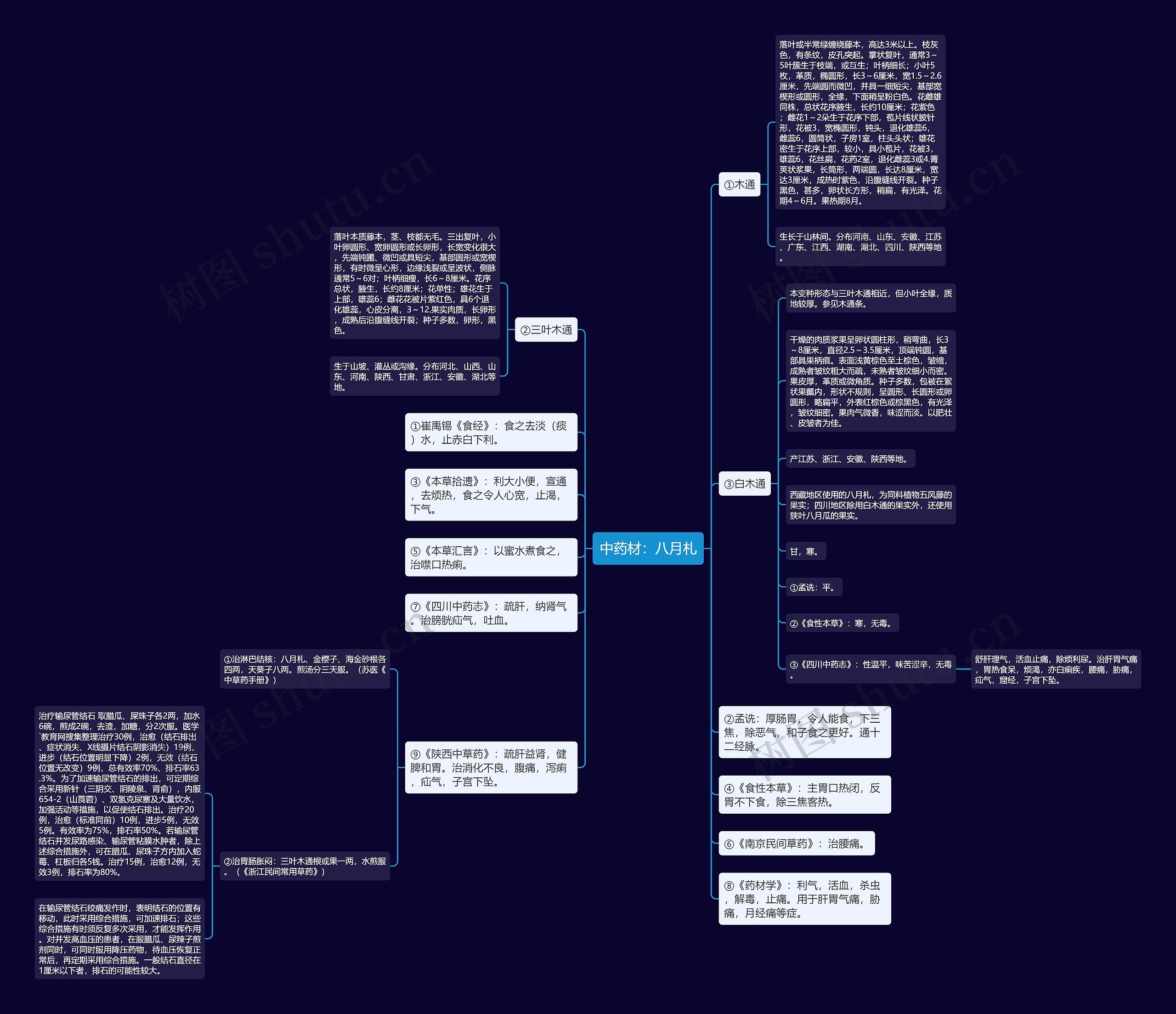 中药材：八月札思维导图