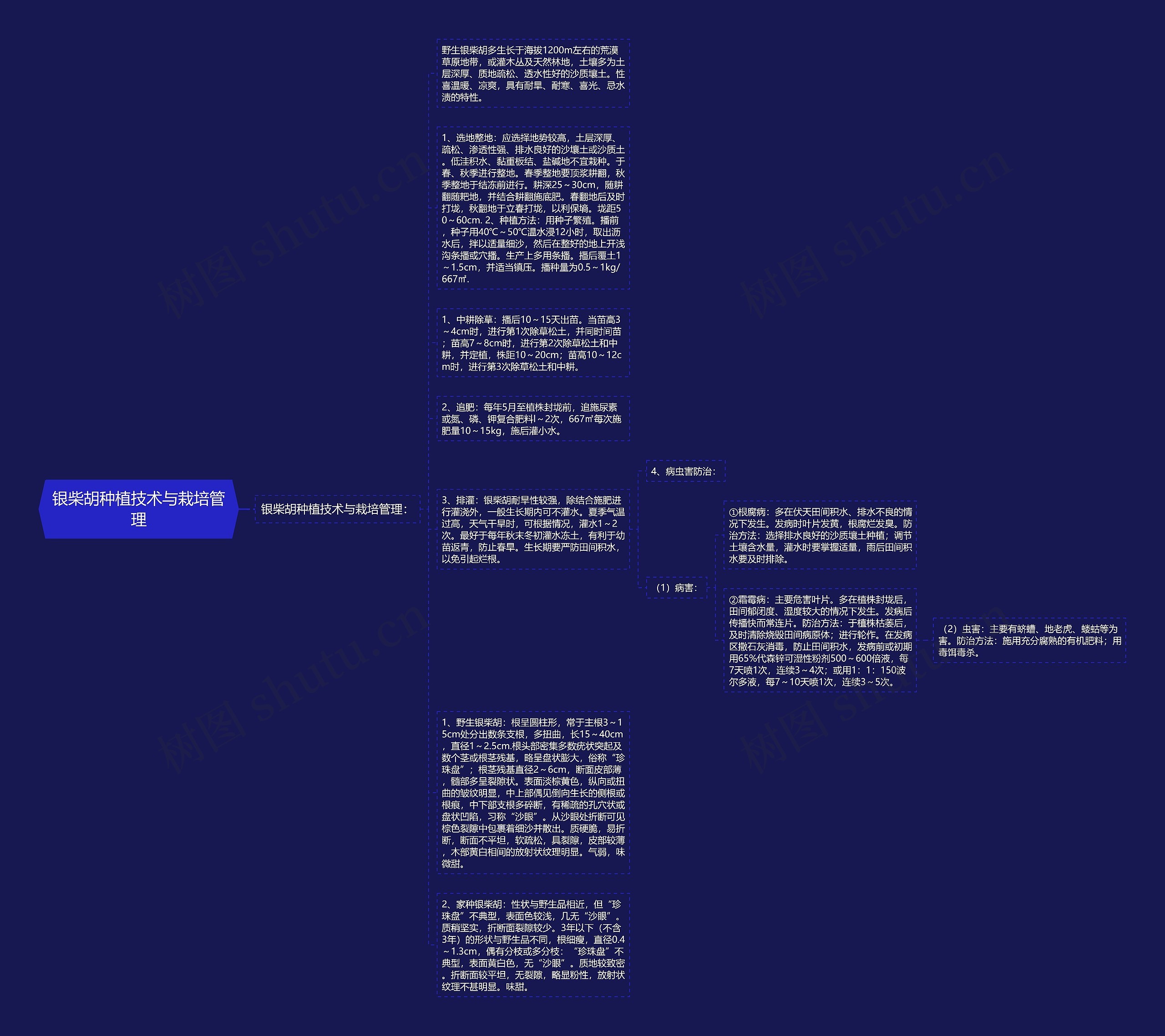 银柴胡种植技术与栽培管理思维导图