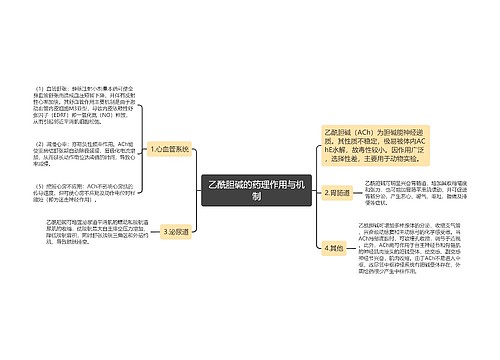 乙酰胆碱的药理作用与机制