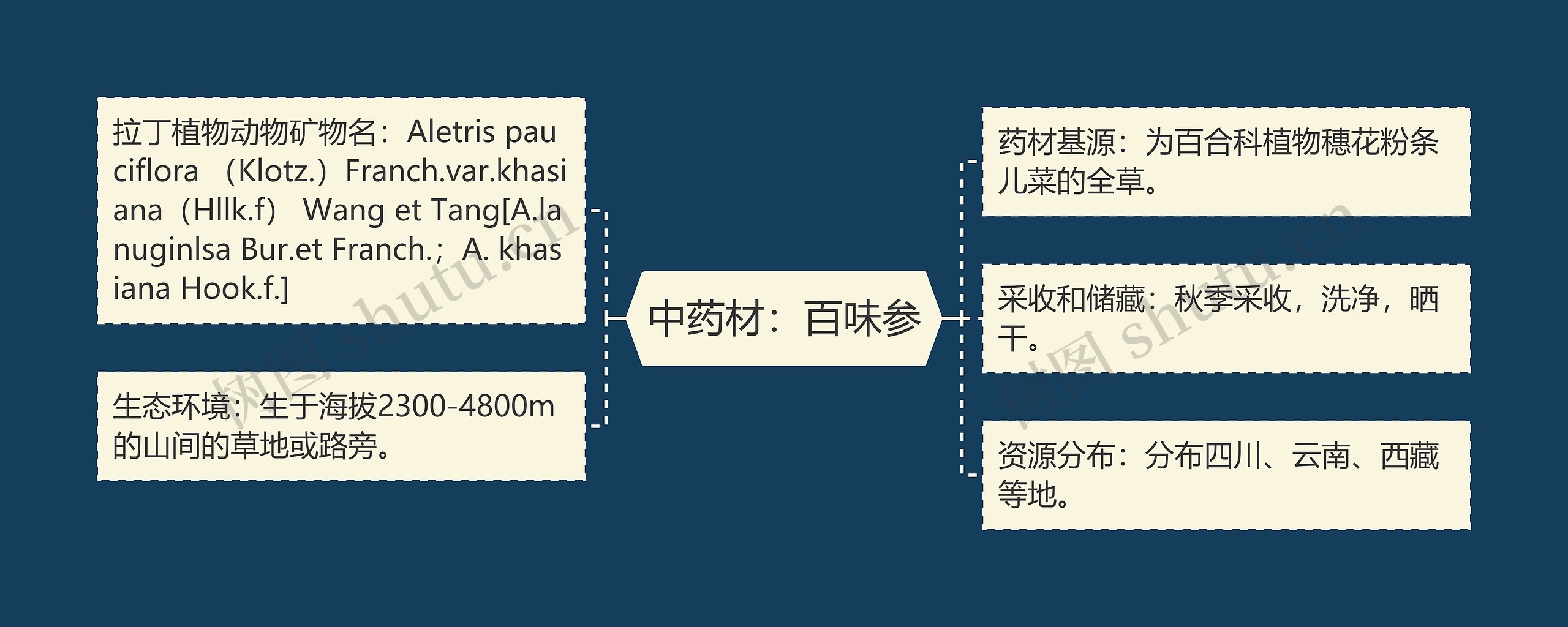 中药材：百味参思维导图