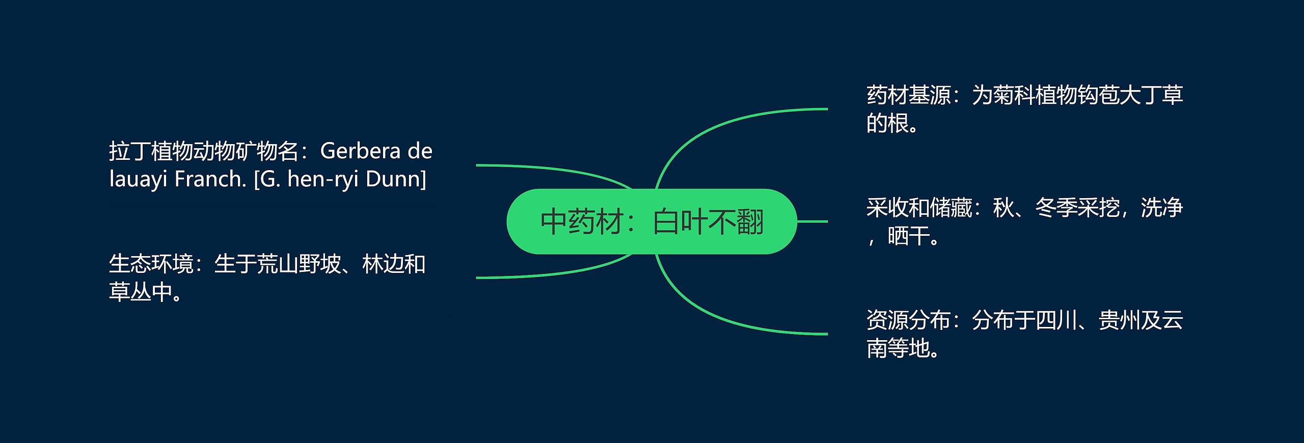 中药材:白叶不翻 中药材:白叶不翻