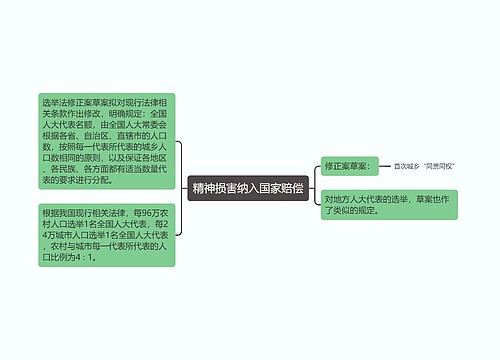 精神损害纳入国家赔偿