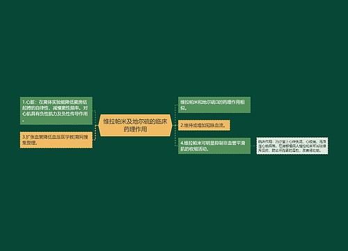 维拉帕米及地尔硫的临床药理作用