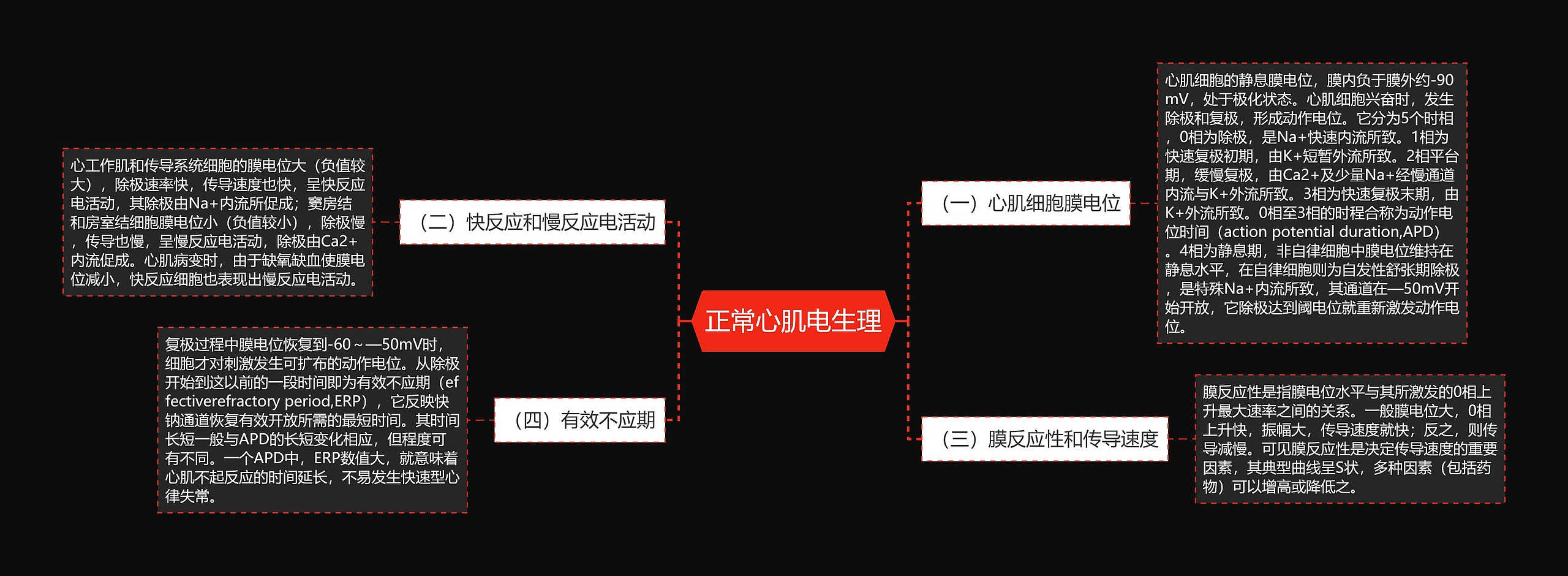 正常心肌电生理 正常心肌电生理