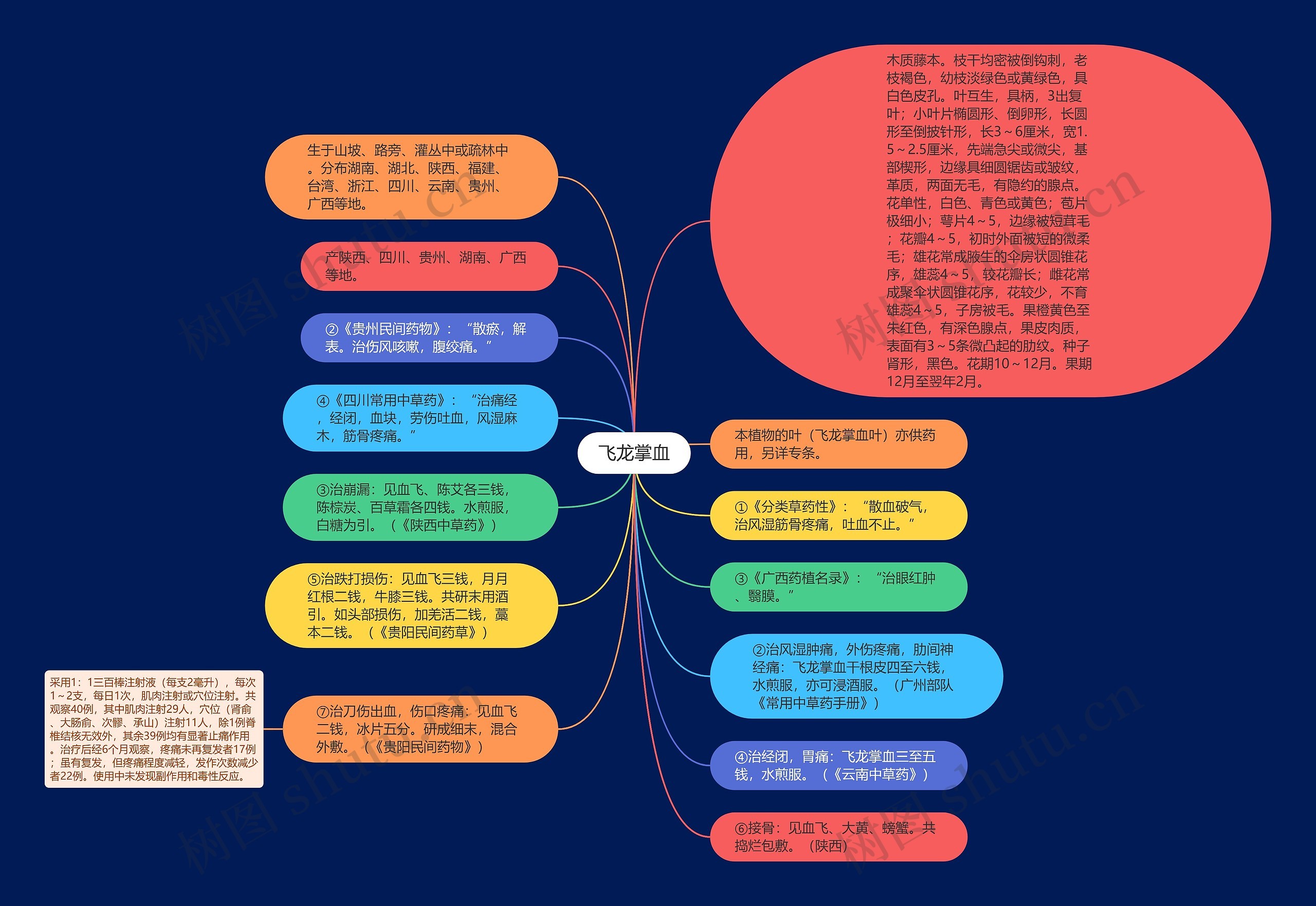 飞龙掌血思维导图