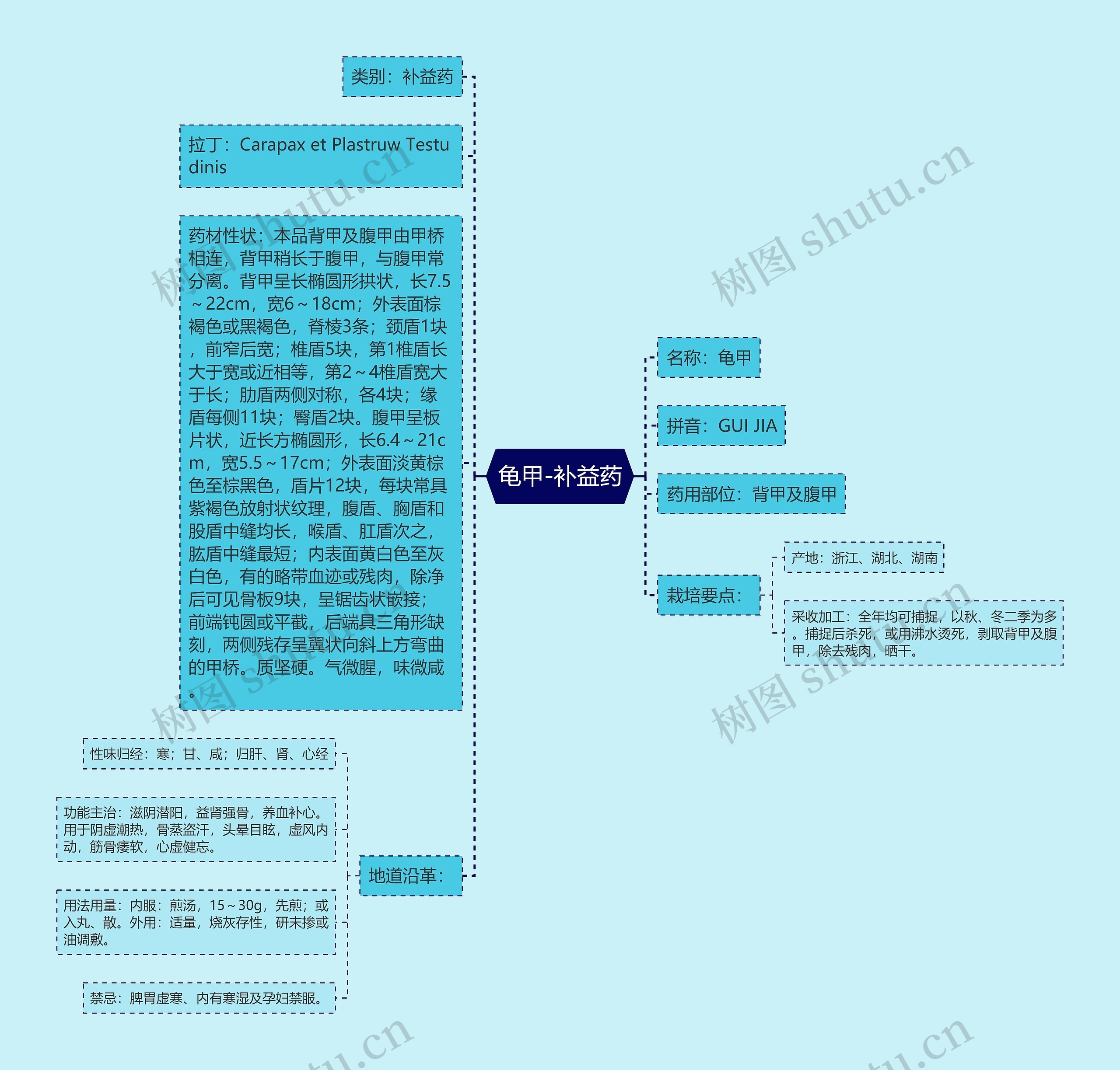 龟甲-补益药思维导图