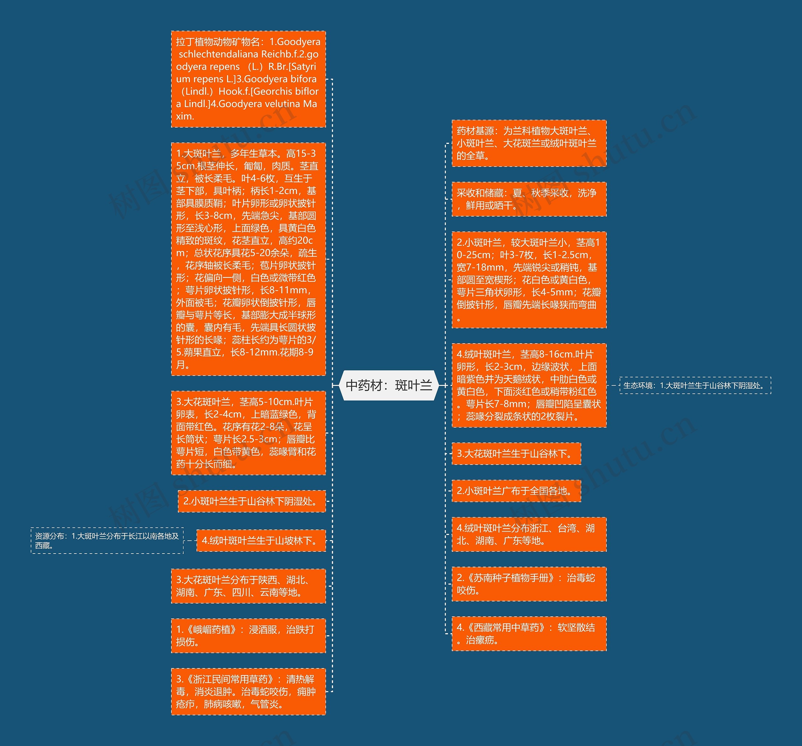 中药材：斑叶兰思维导图