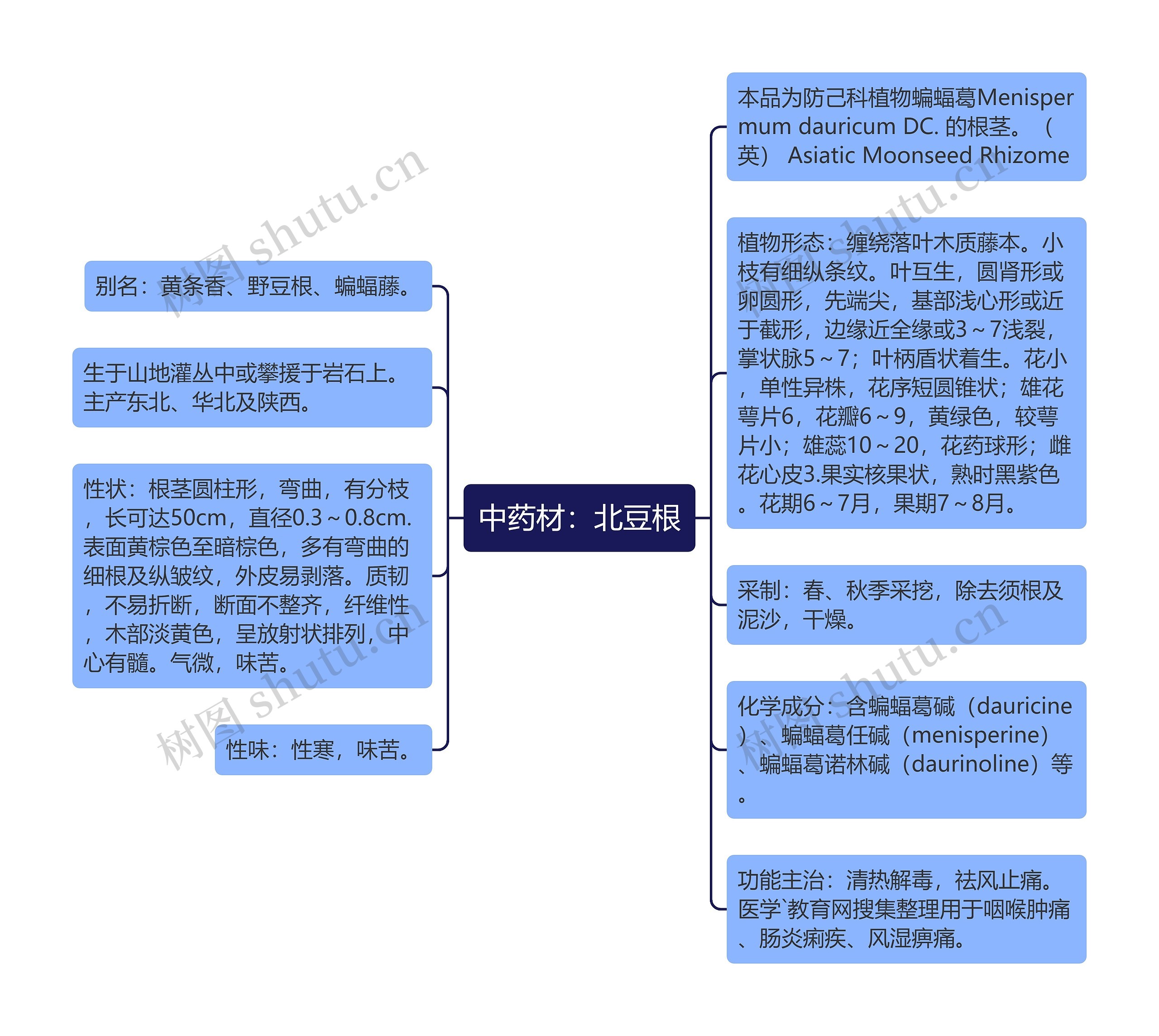 中药材：北豆根思维导图